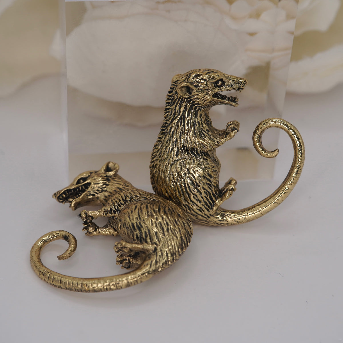 Opossum Ear Weights