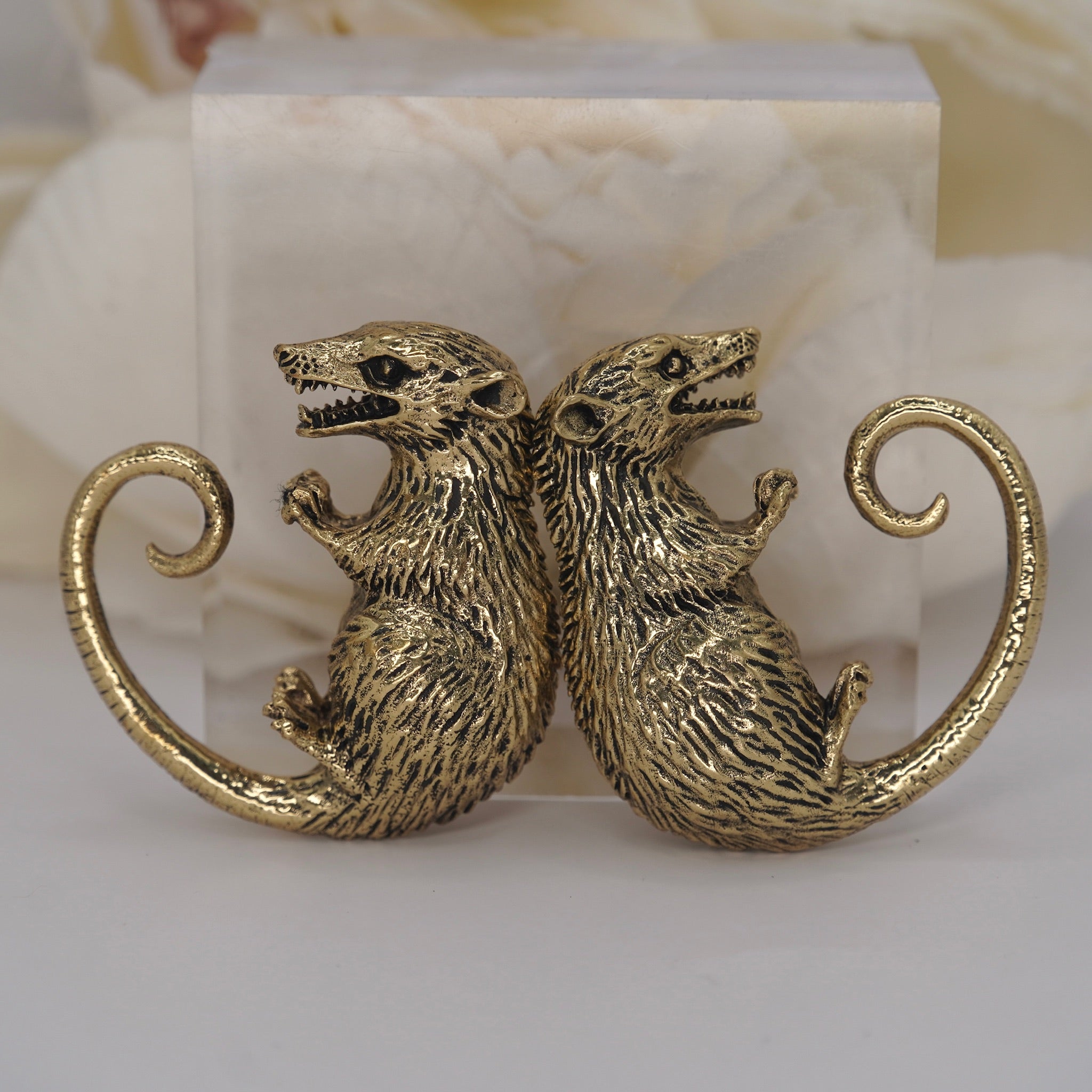 Opossum Ear Weights