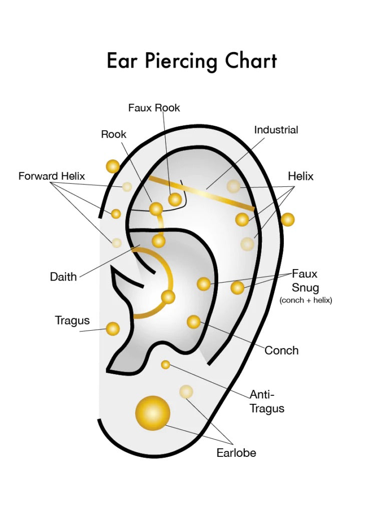 Pair of Earlobes Piercing