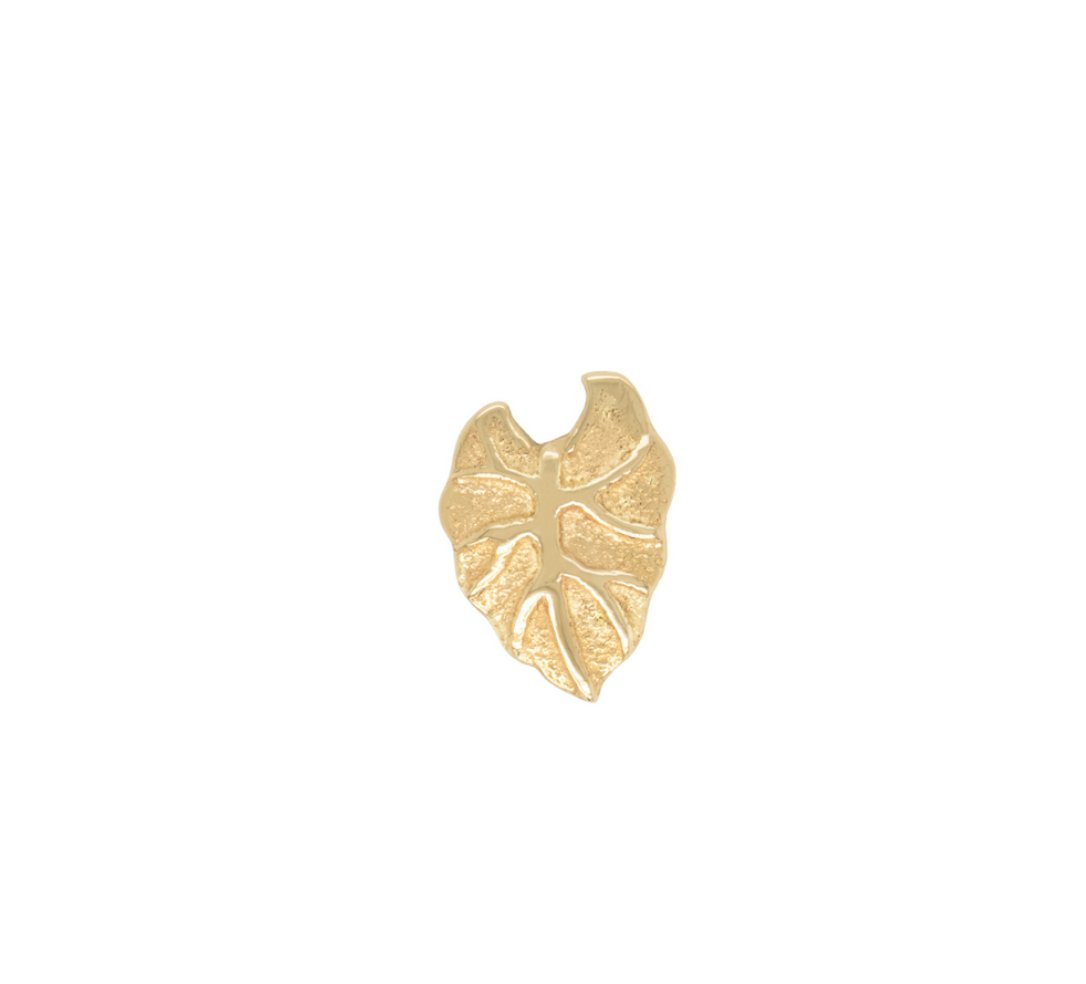 Kalo Leaf