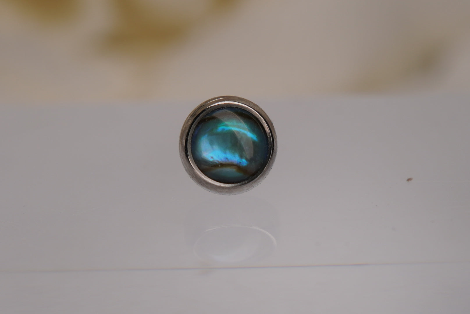 Natural Paua Shell- 12/14G