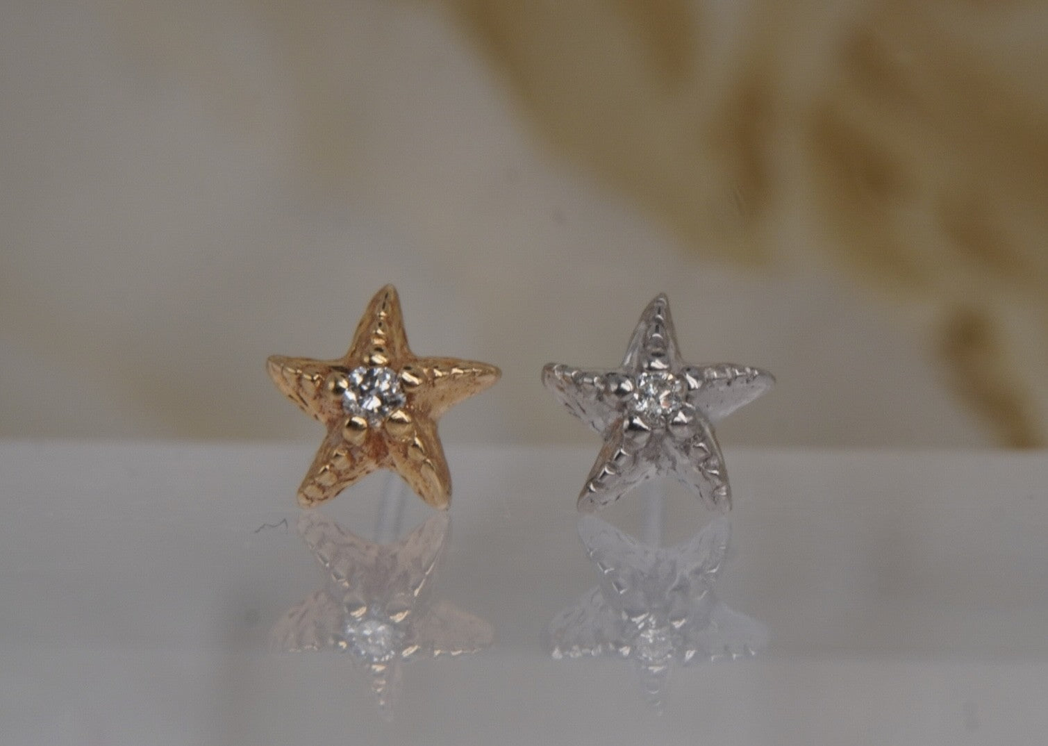 Hoku Star