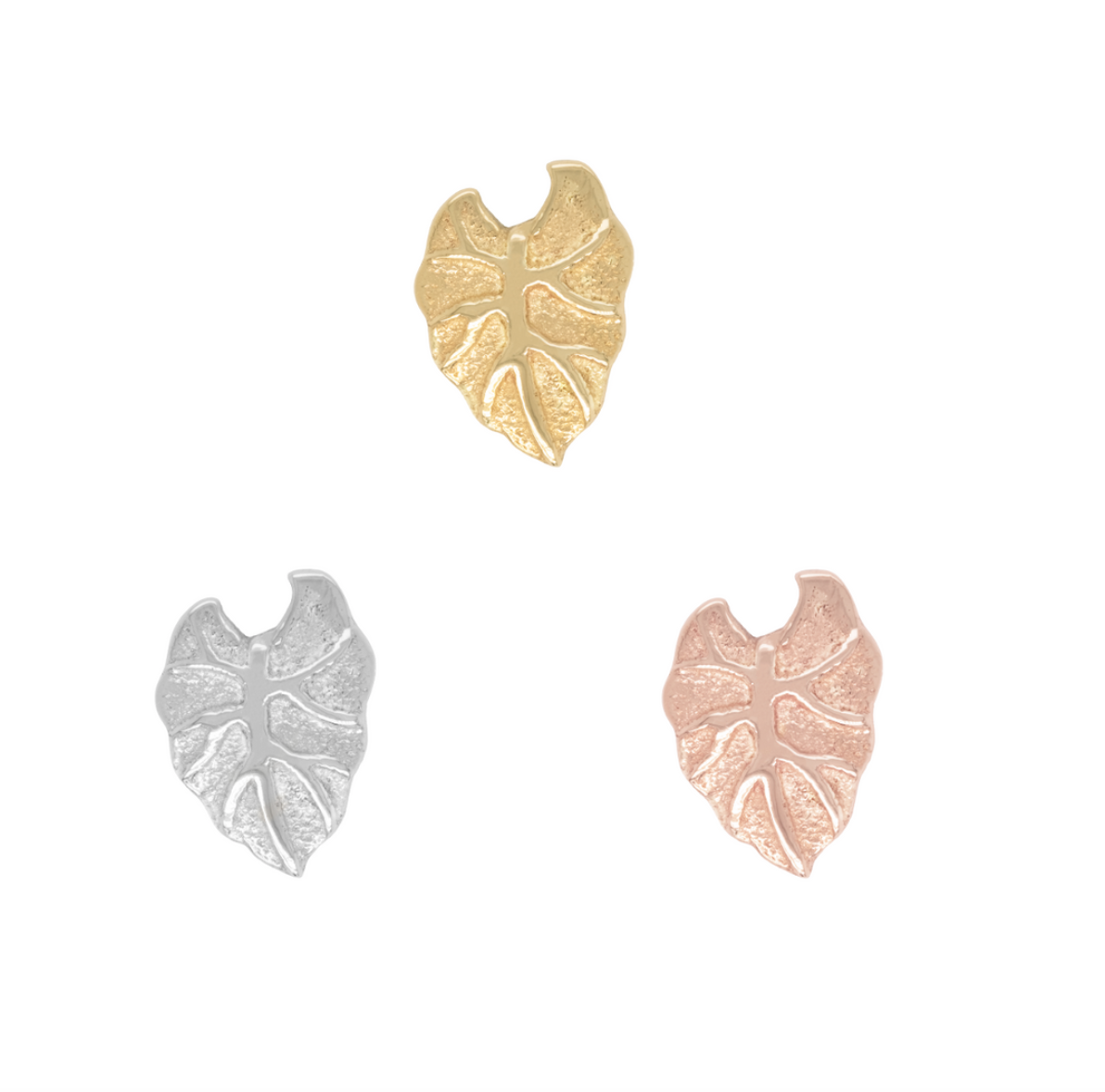 Kalo Leaf