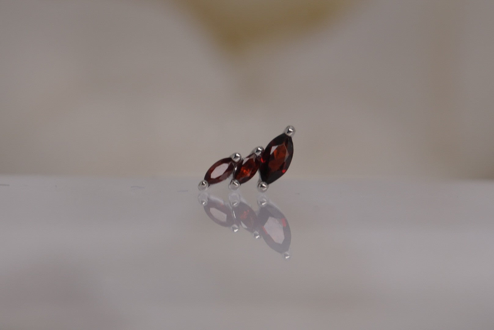 Multiplicity-RIGHT with Garnet