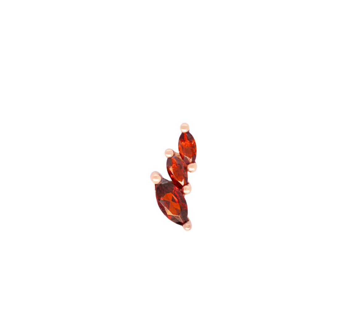 Multiplicity-RIGHT with Garnet