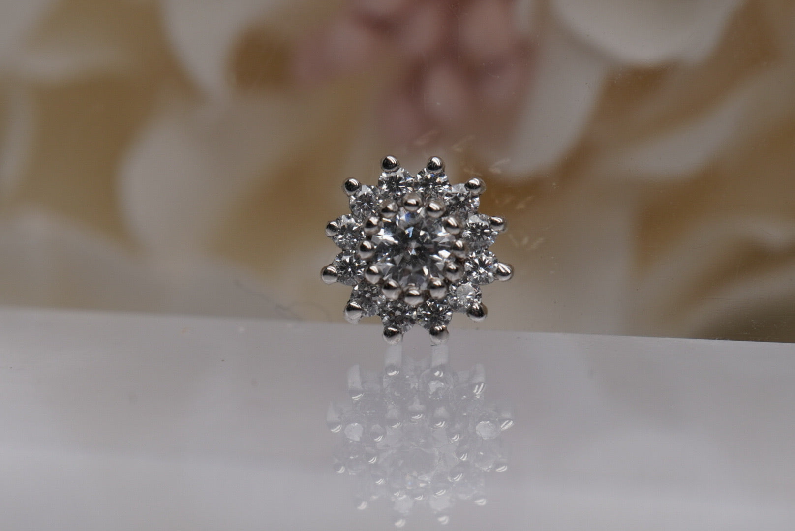 The Rose Cluster