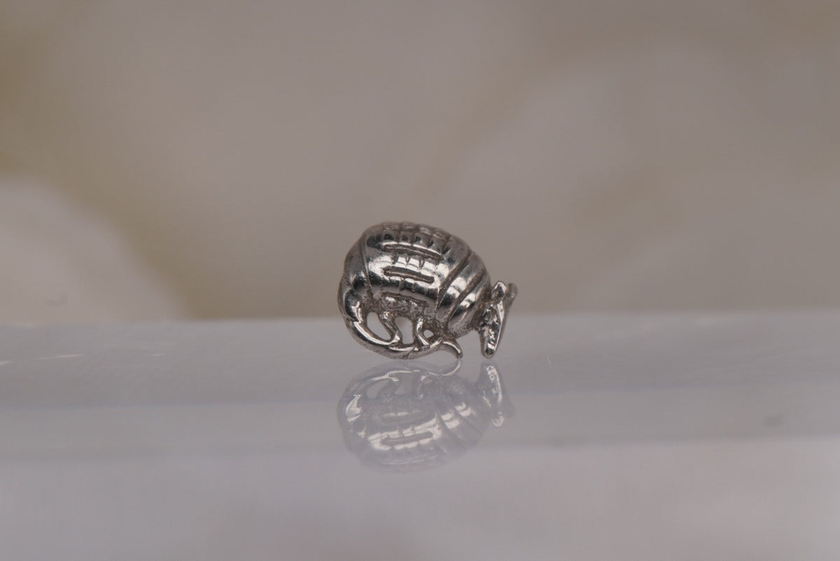 Front view of Buddha Jewelry’s “Let’s Roll” in 14k white gold, featuring a curved armadillo design with a textured shell.