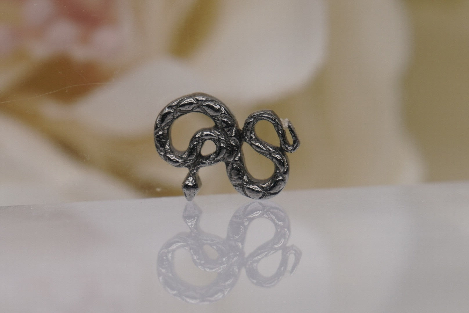 Coiled Snake