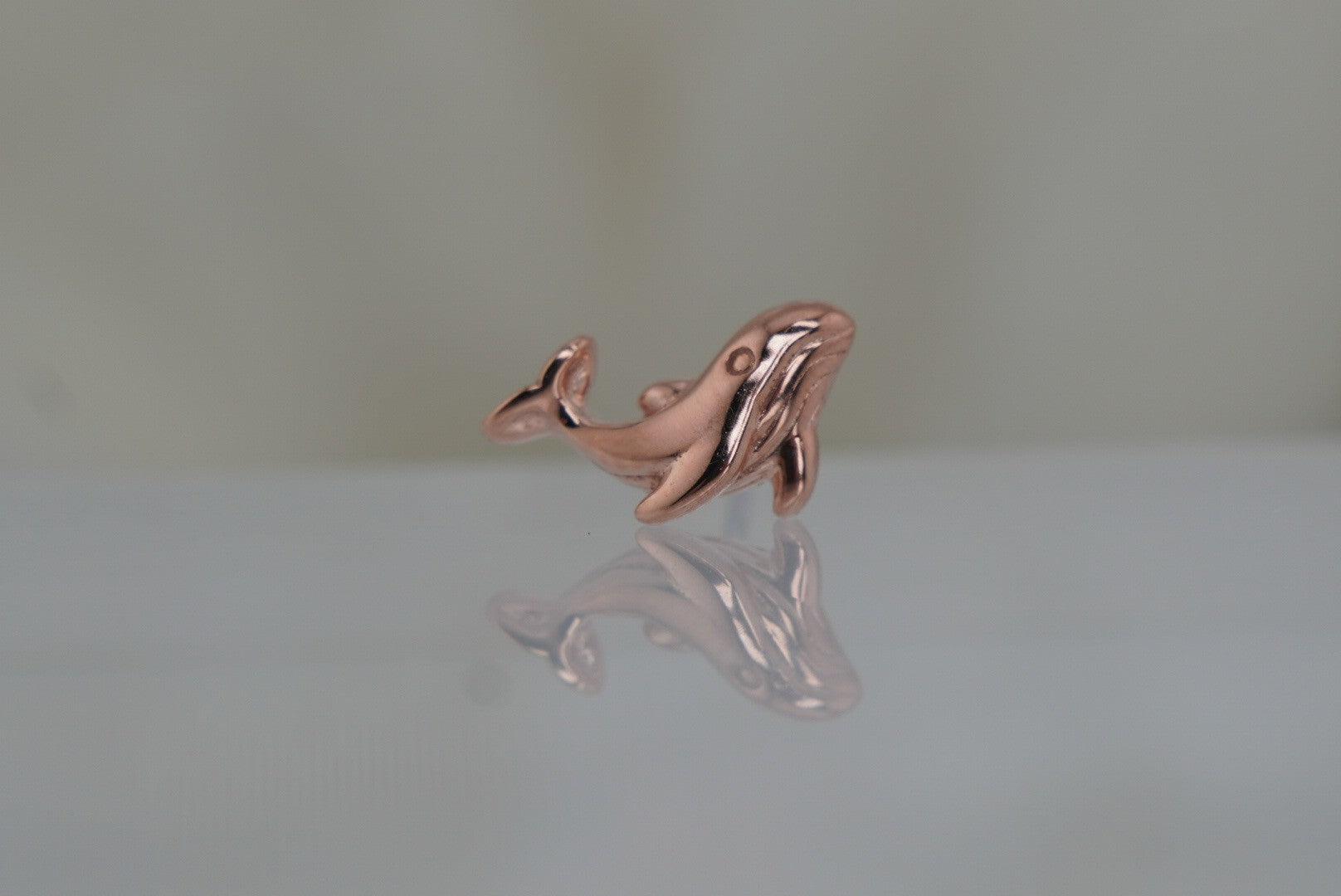 Kohola