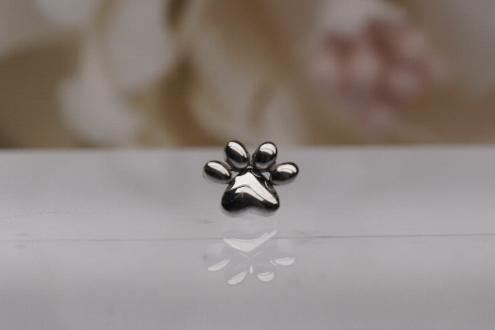 Dog Paw in Titanium