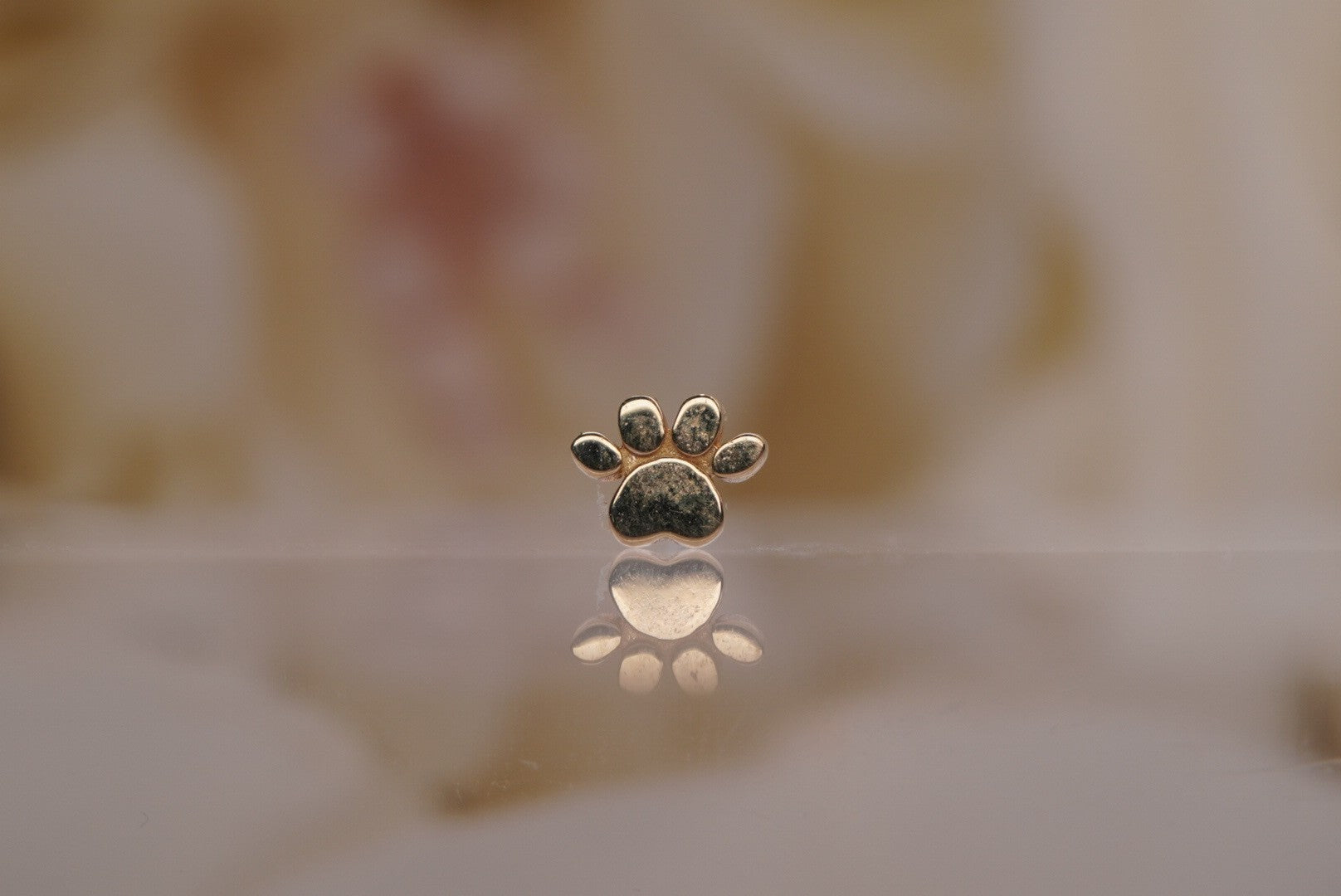Mini Paw