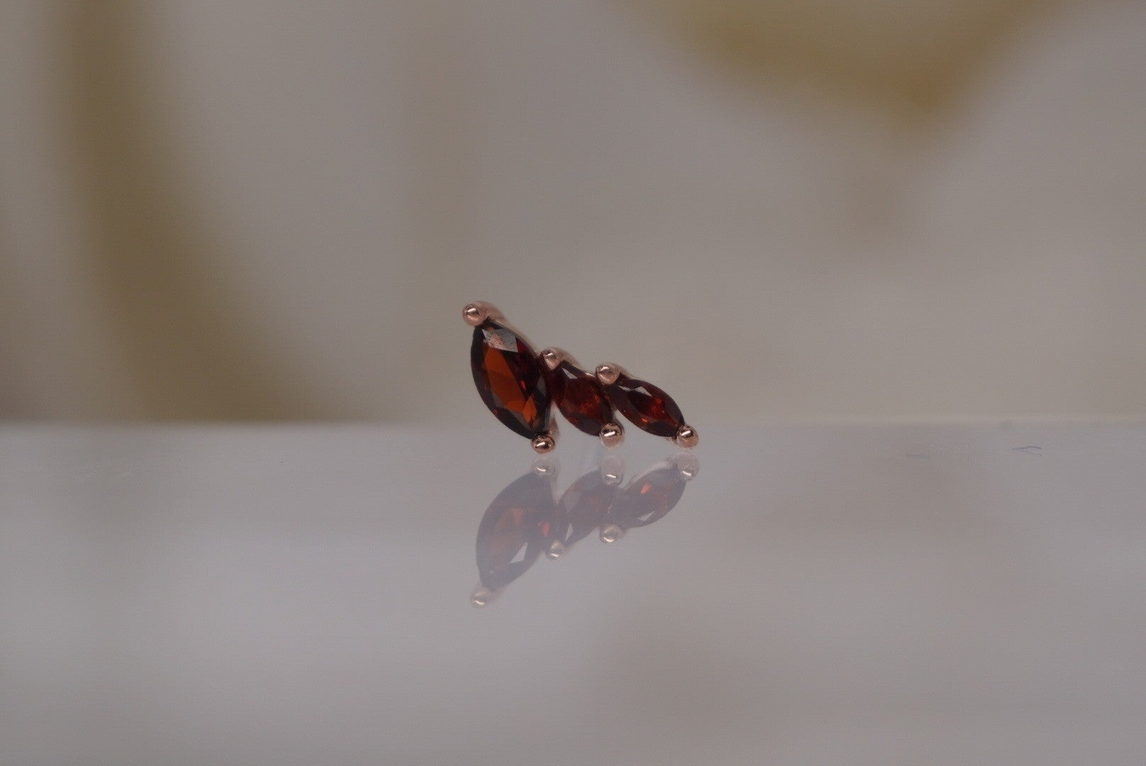 Multiplicity-LEFT with Garnet