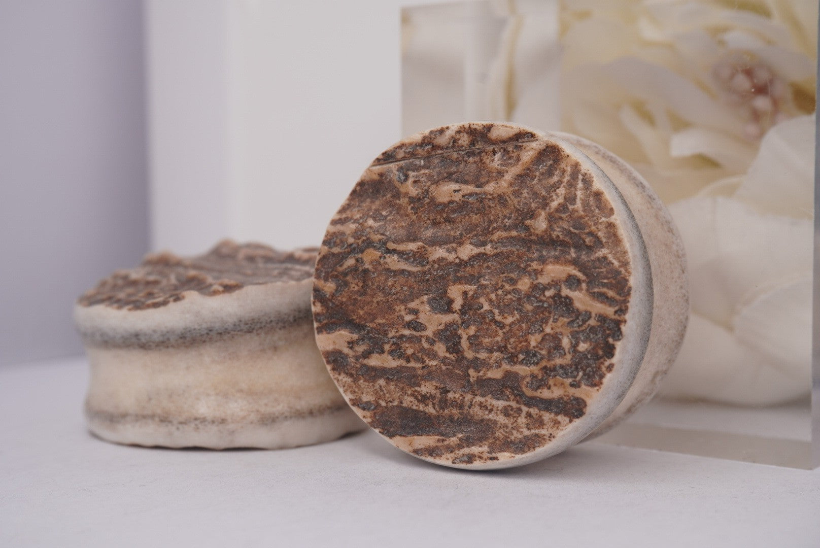 Antler Plug - 1 5/16" ID + 1 7/16" OD