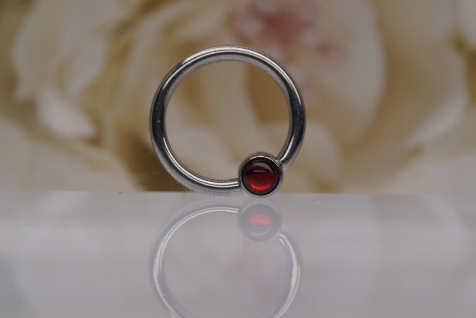 Captive Bead with Red Paua Shell