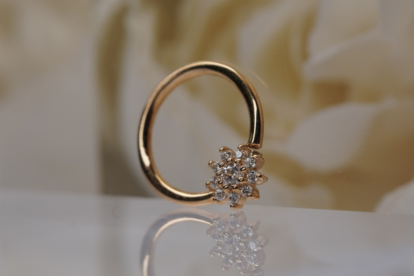 Eloise Seamless Ring- 16g 3/8"