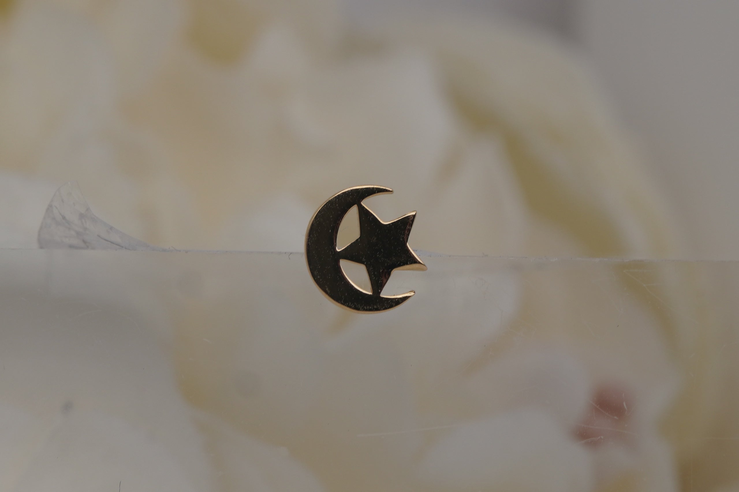 Star Crescent Moon