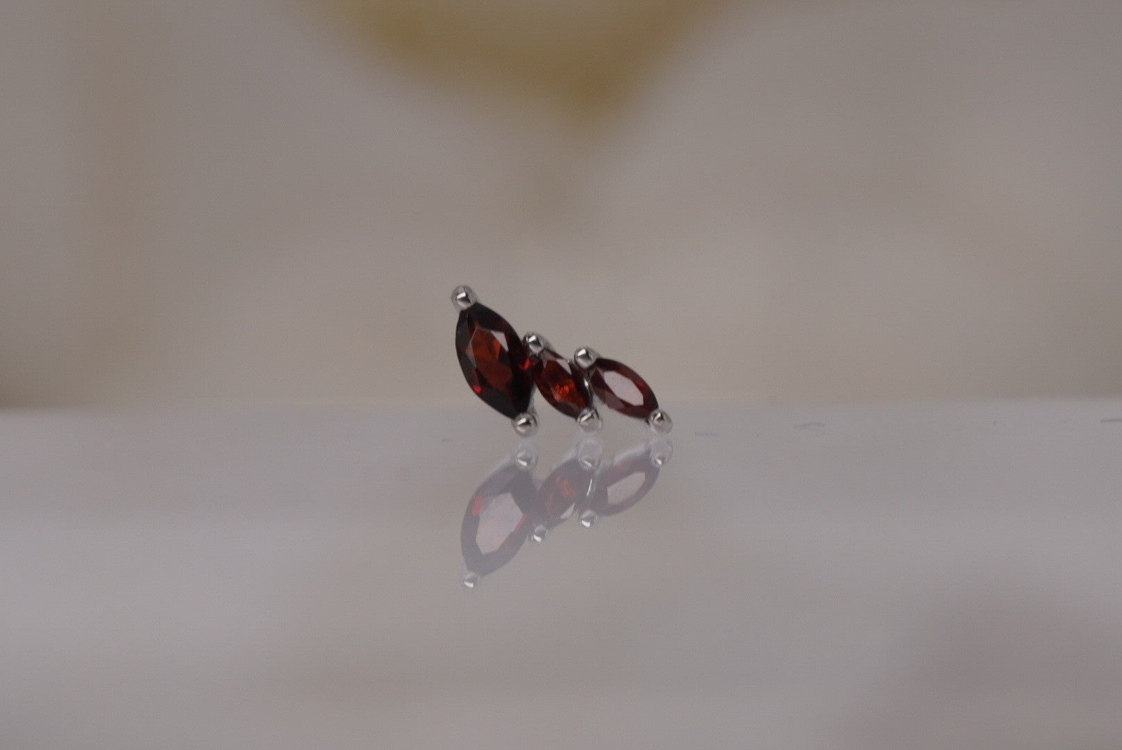 Multiplicity-LEFT with Garnet