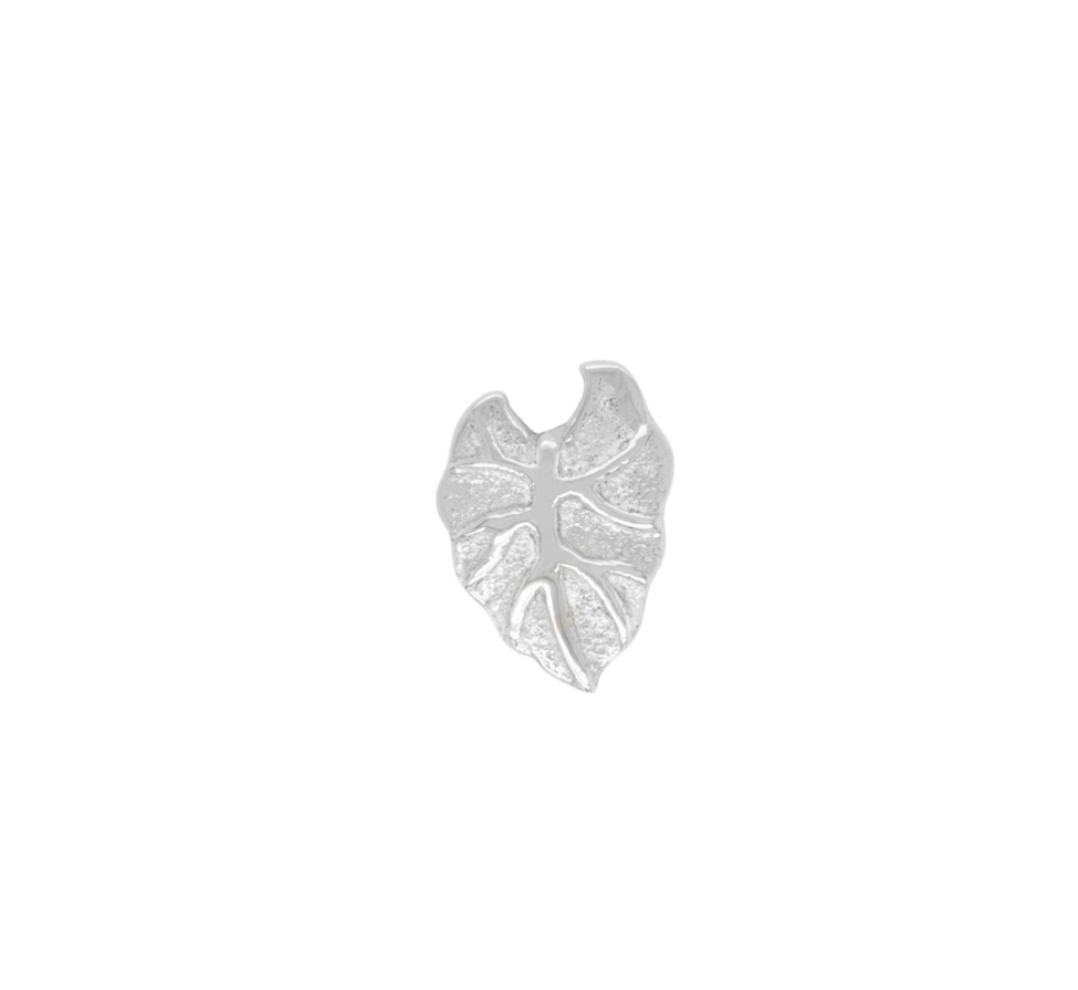Kalo Leaf
