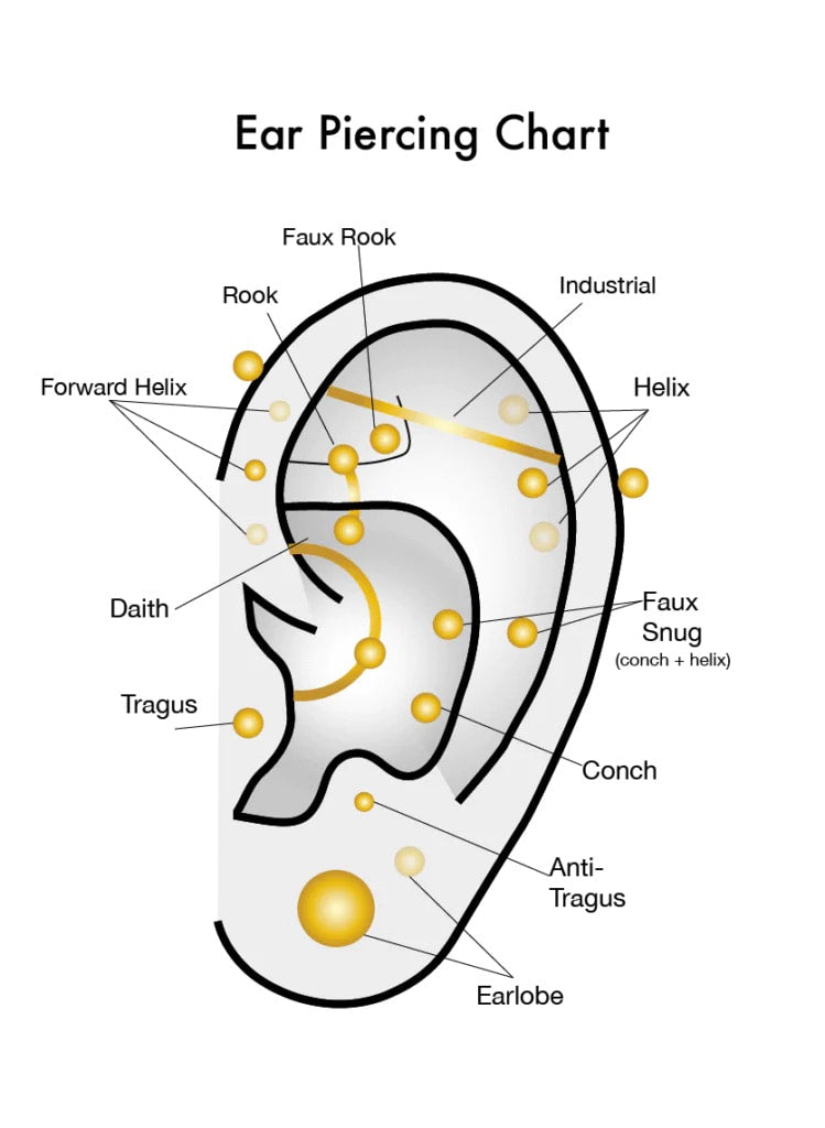 Double Helix/Cartilage Piercing