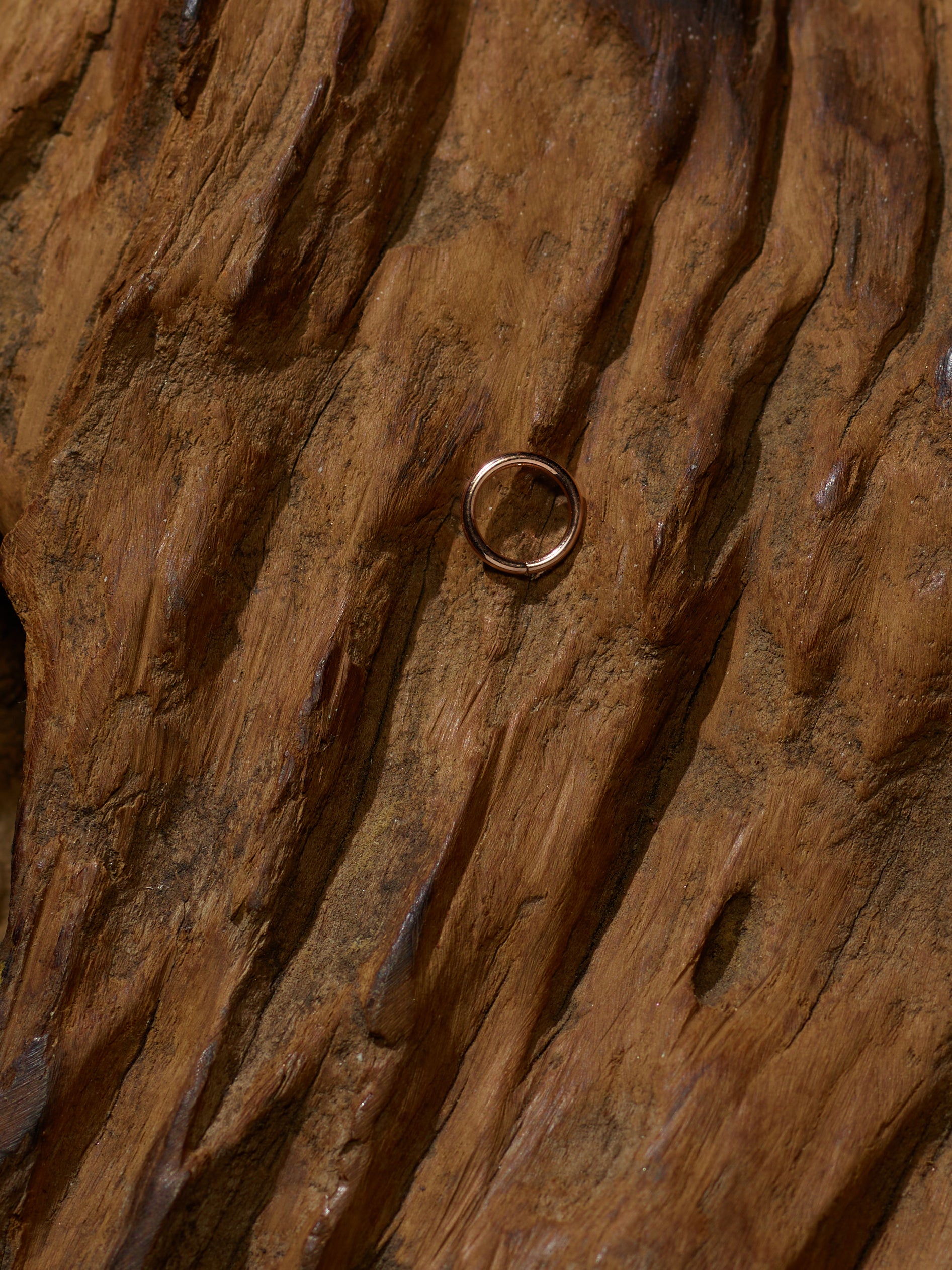 16g Heart Seamless Ring in Gold