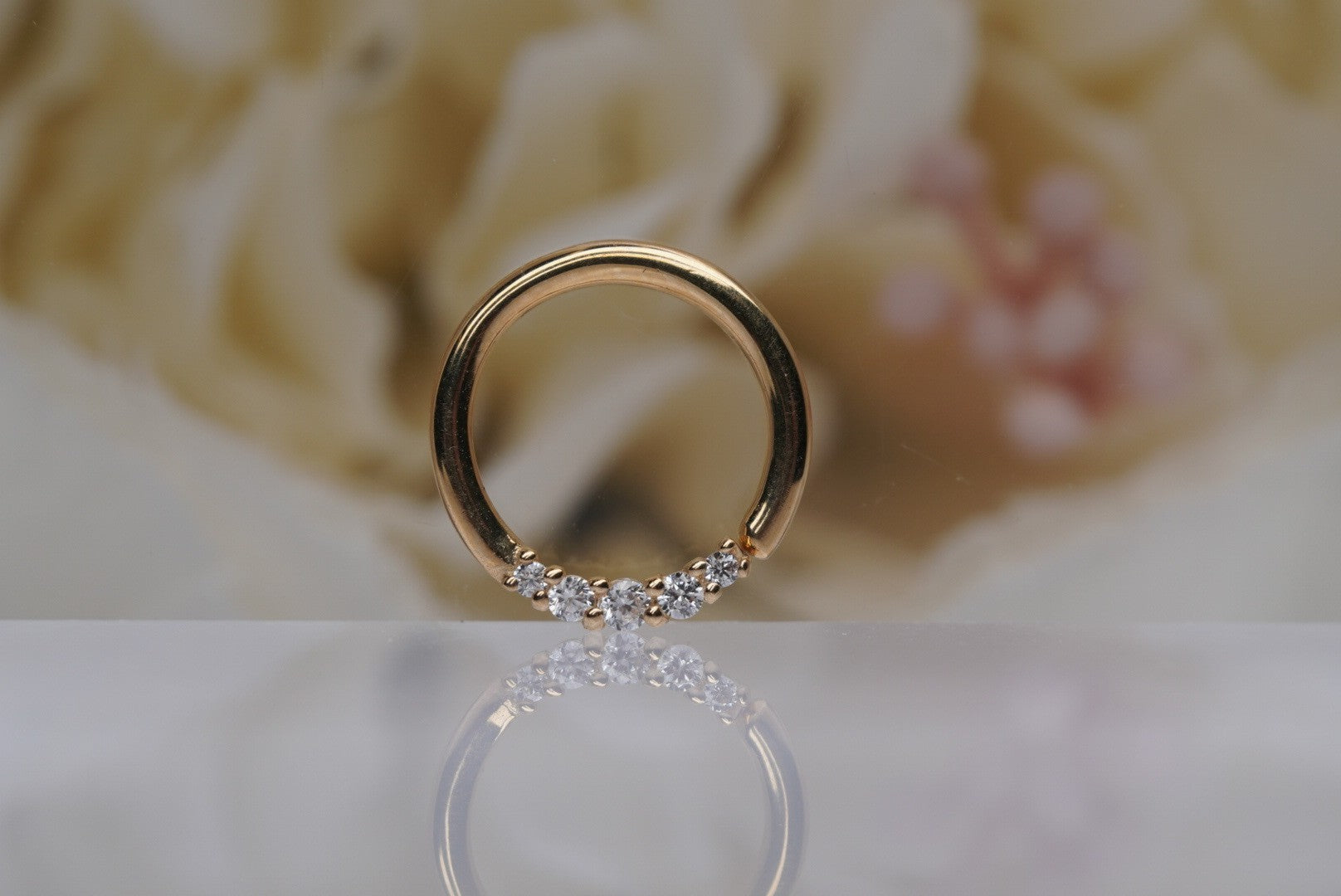 Sophia Seamless Ring- 16g 5/16"