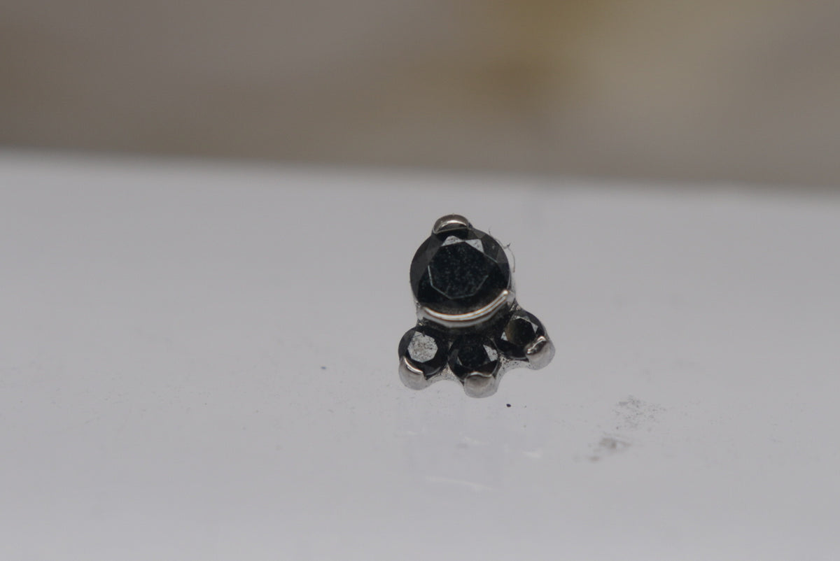 Carina (Black) close up