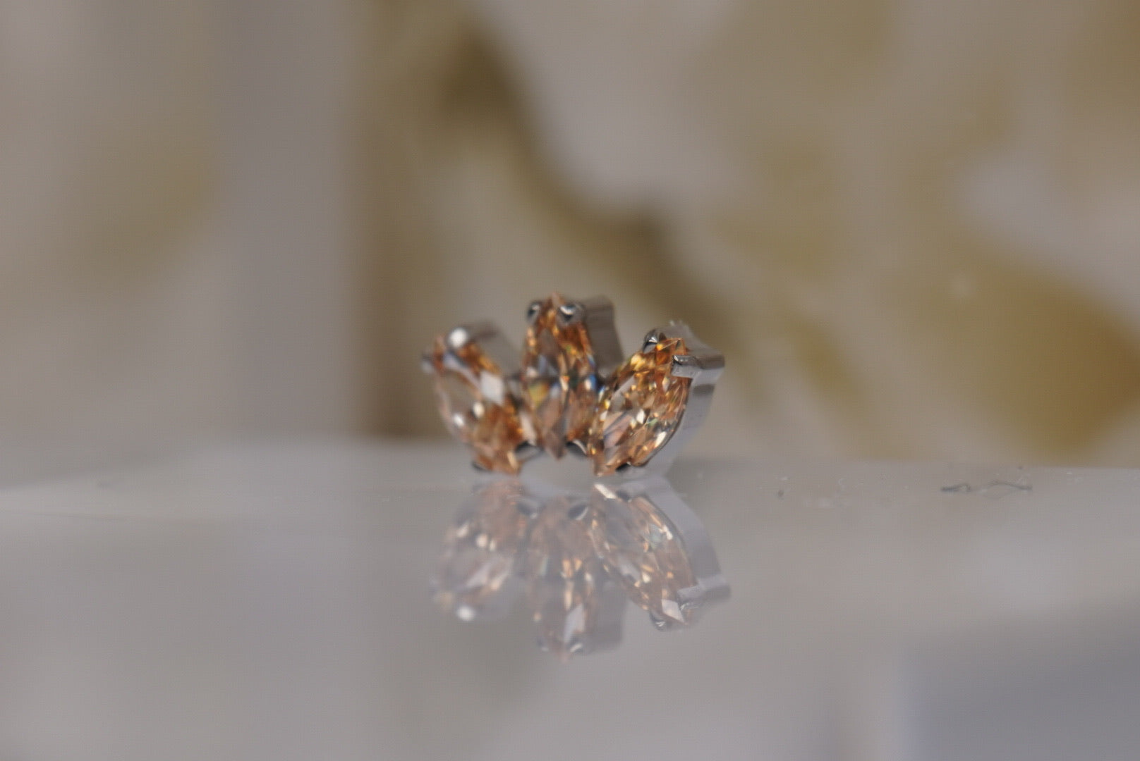 Champagne Marquis Fan 16g