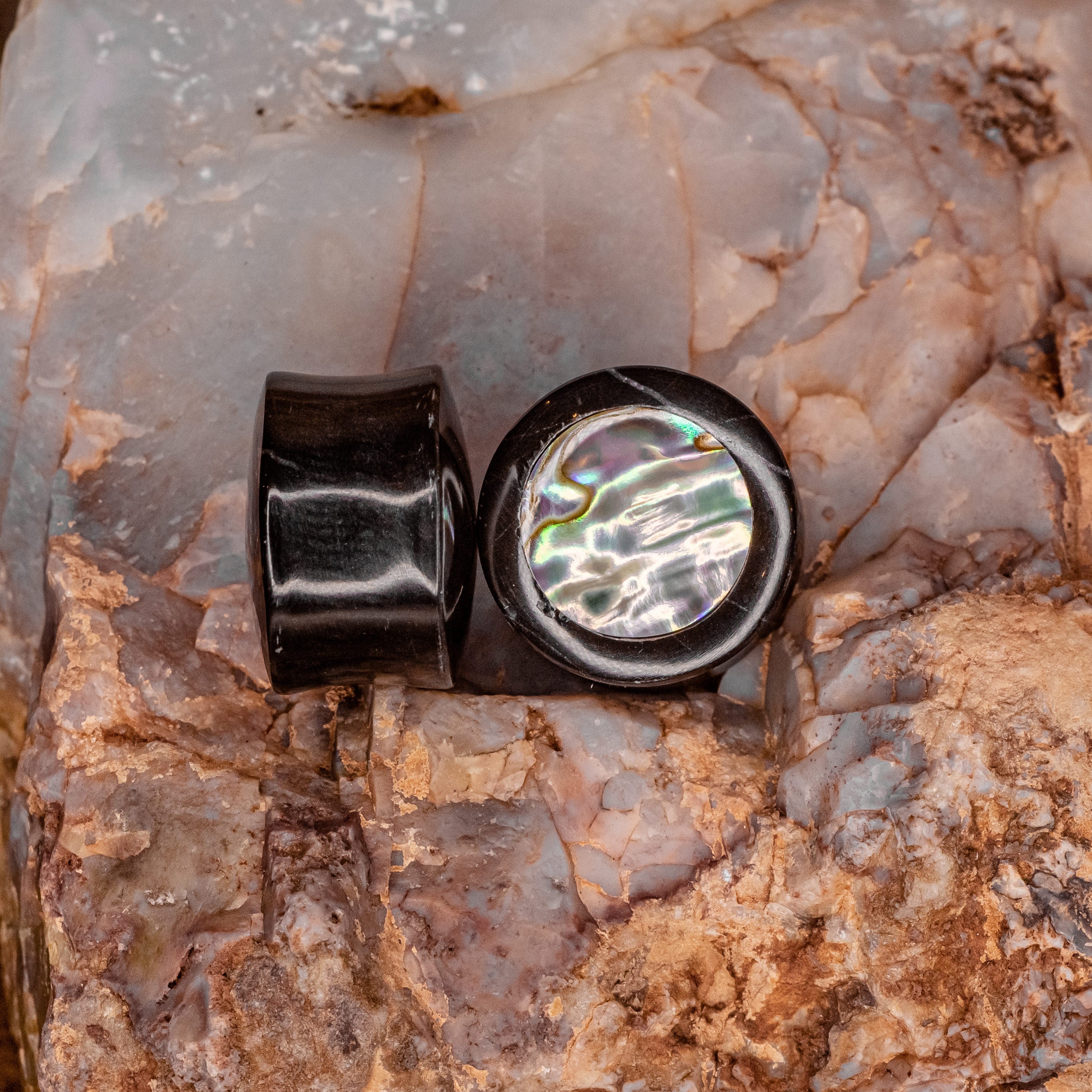 Abalone in Obsidian Plug 7/8"