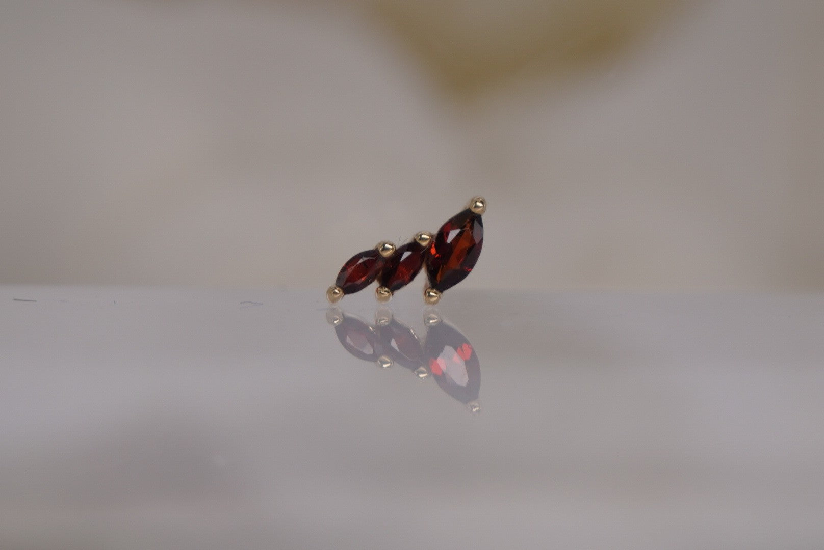 Multiplicity-RIGHT with Garnet