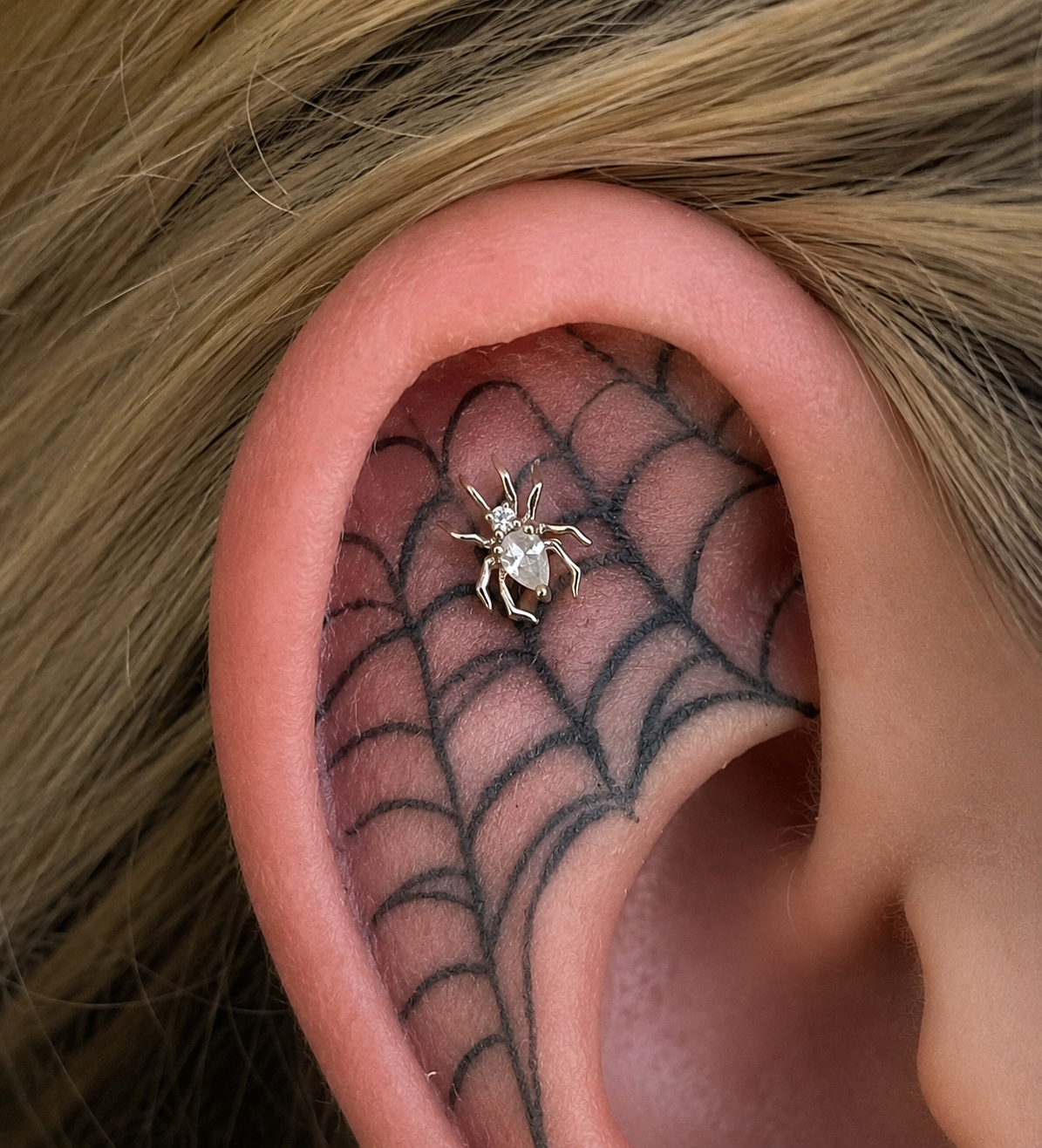 Arachne Spider - CZ