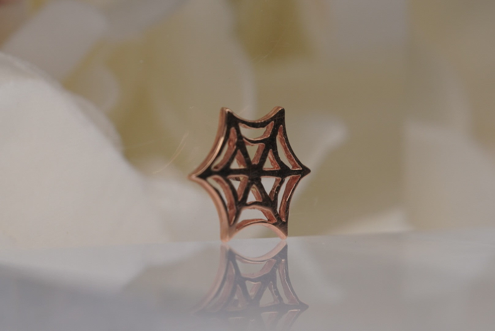 Spider Web