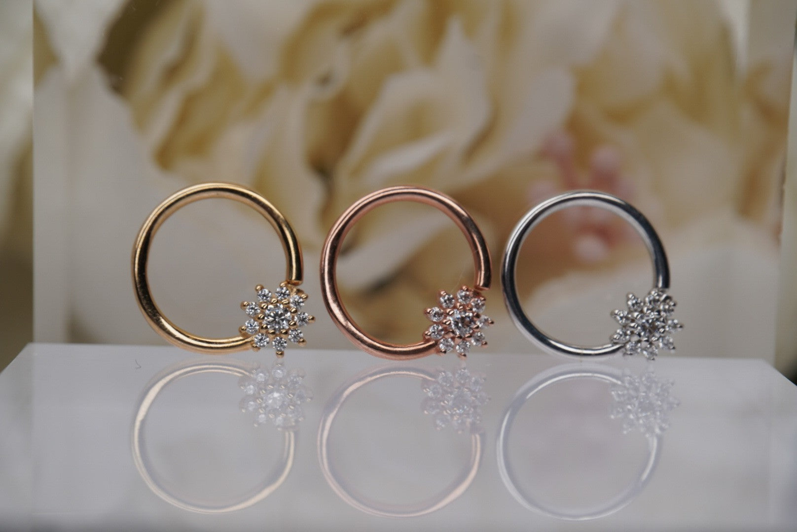 Eloise Seamless Ring- 16g 3/8"