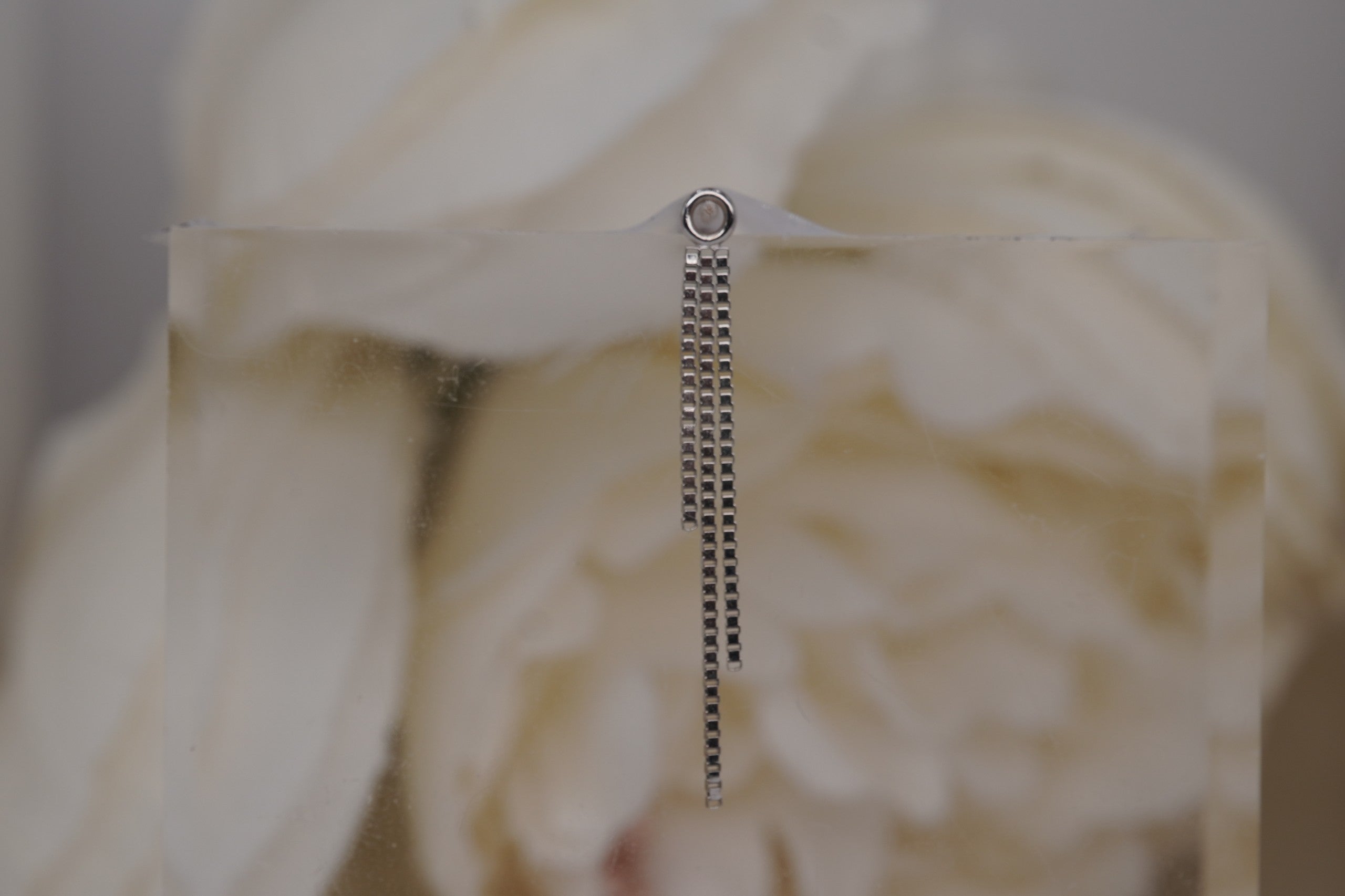 Alexas Chain Charm