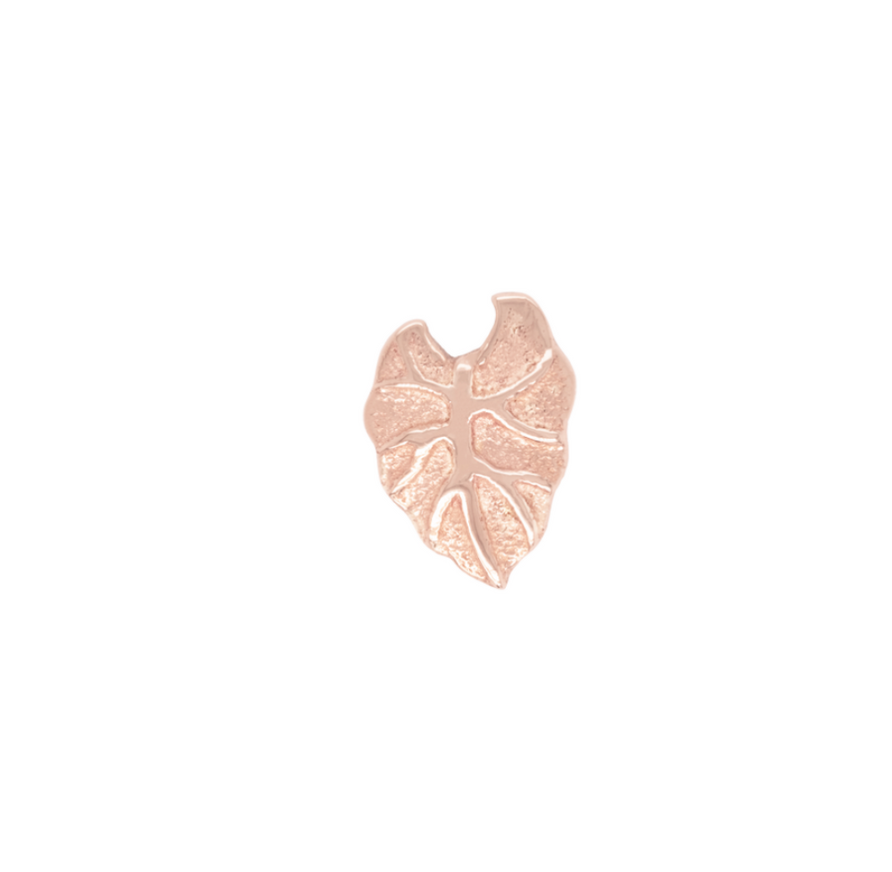 Kalo Leaf