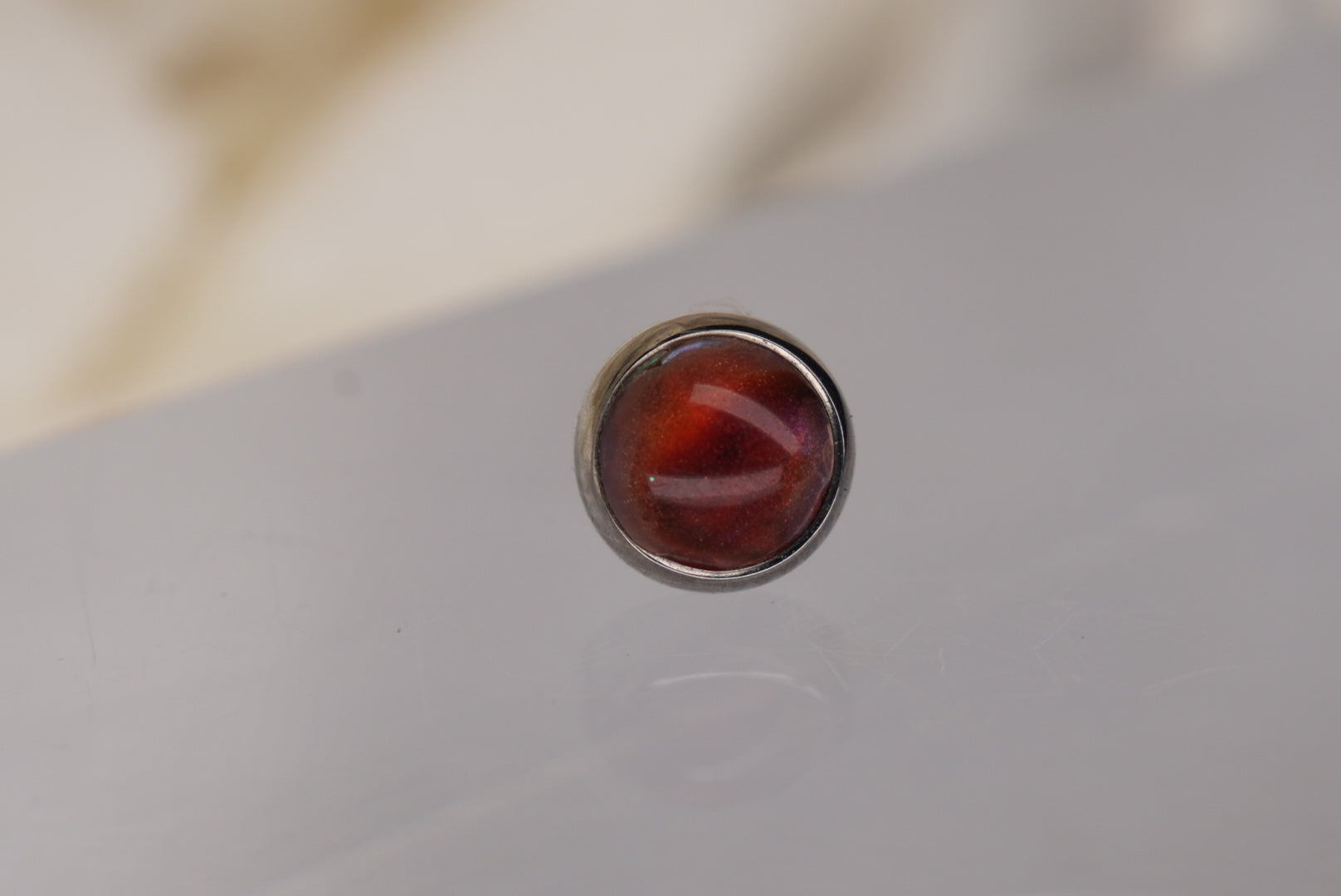 Red Paua Shell-12/14G