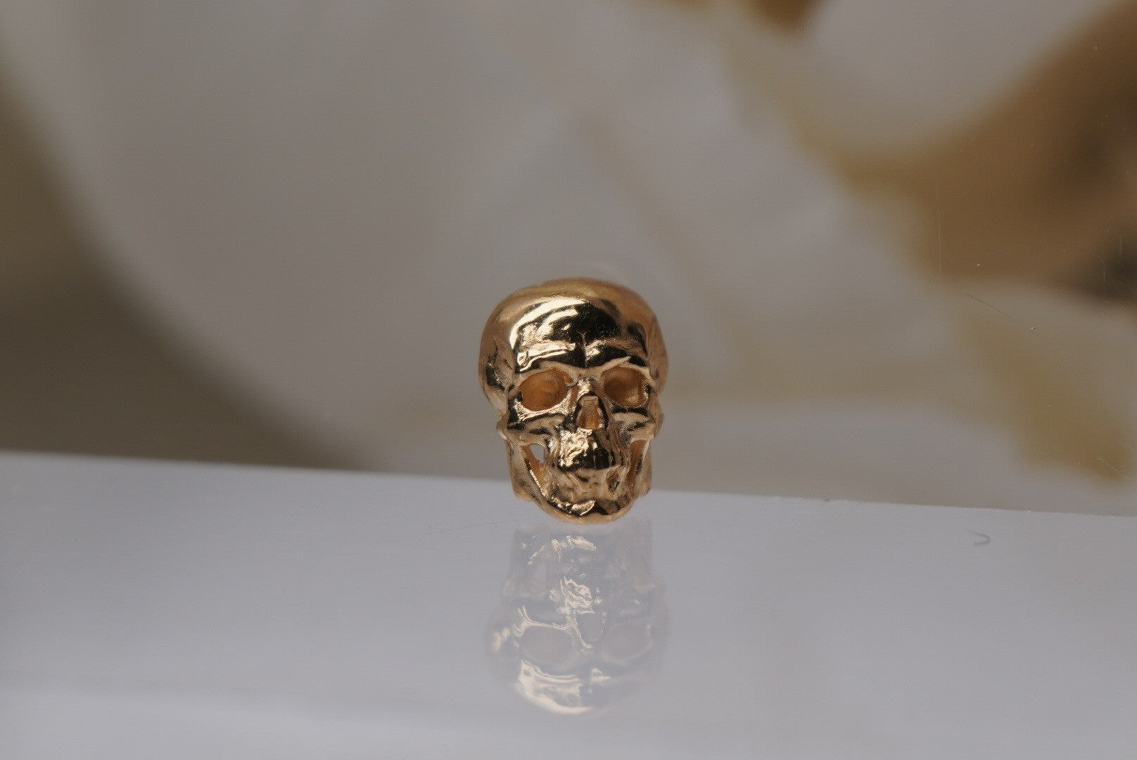 Kranion Skull