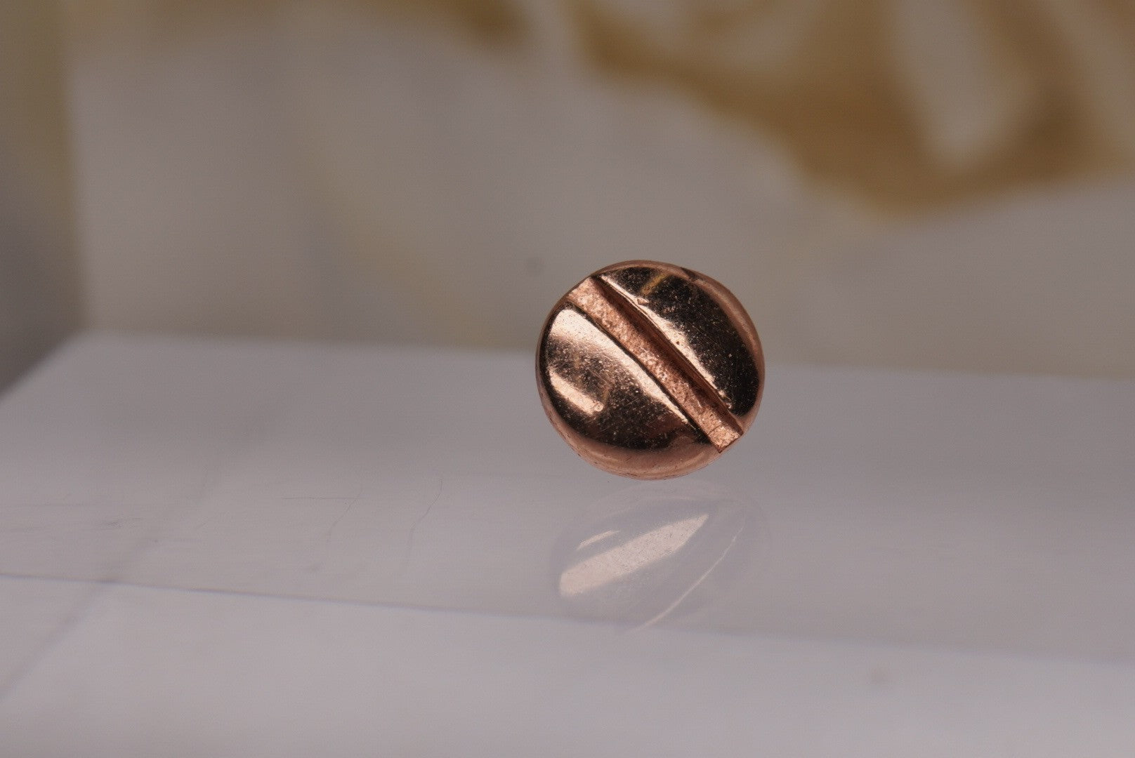 Flat Head in Gold