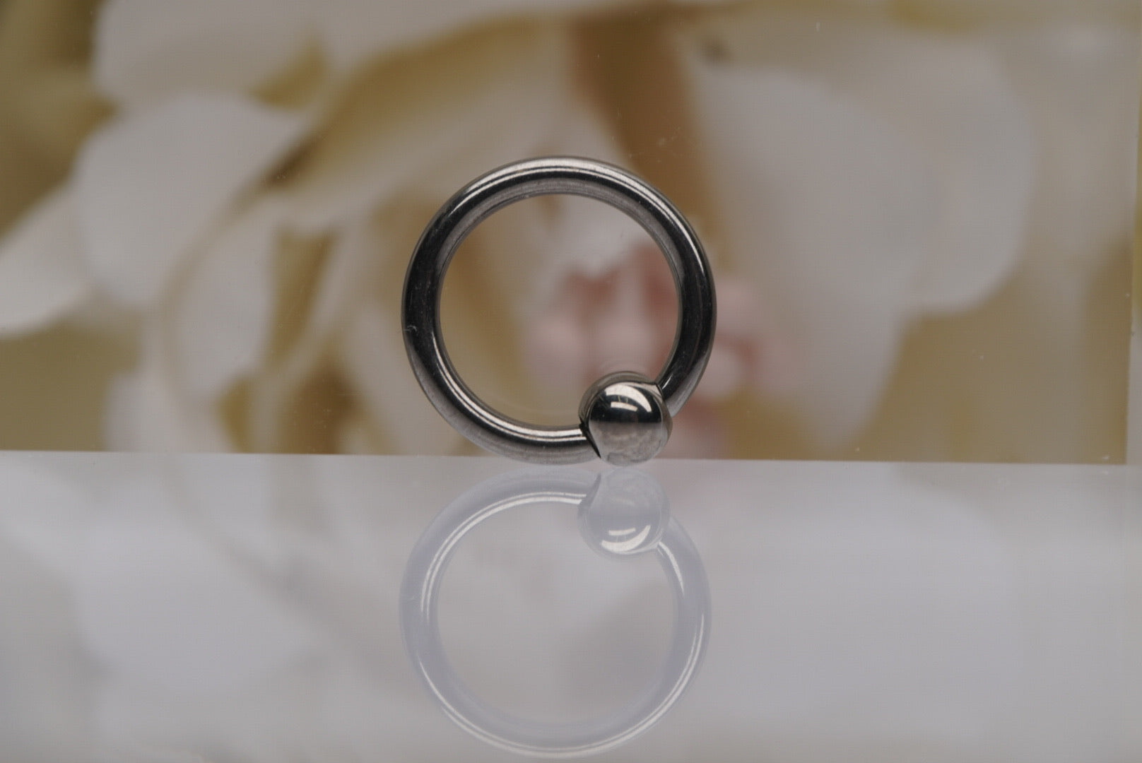 Fixed Bead Rings- 12g