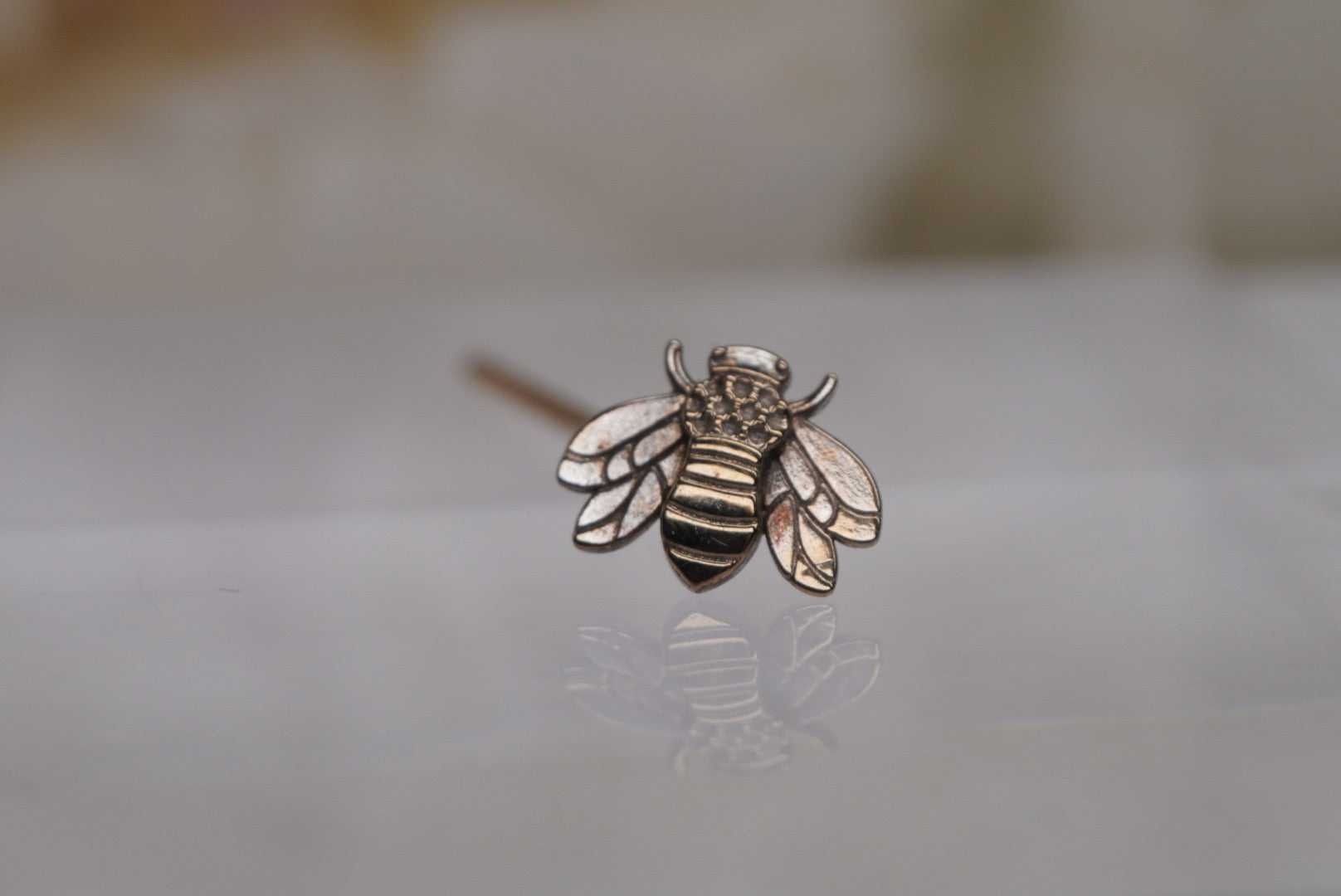 Bee Nostril Screw in White Gold