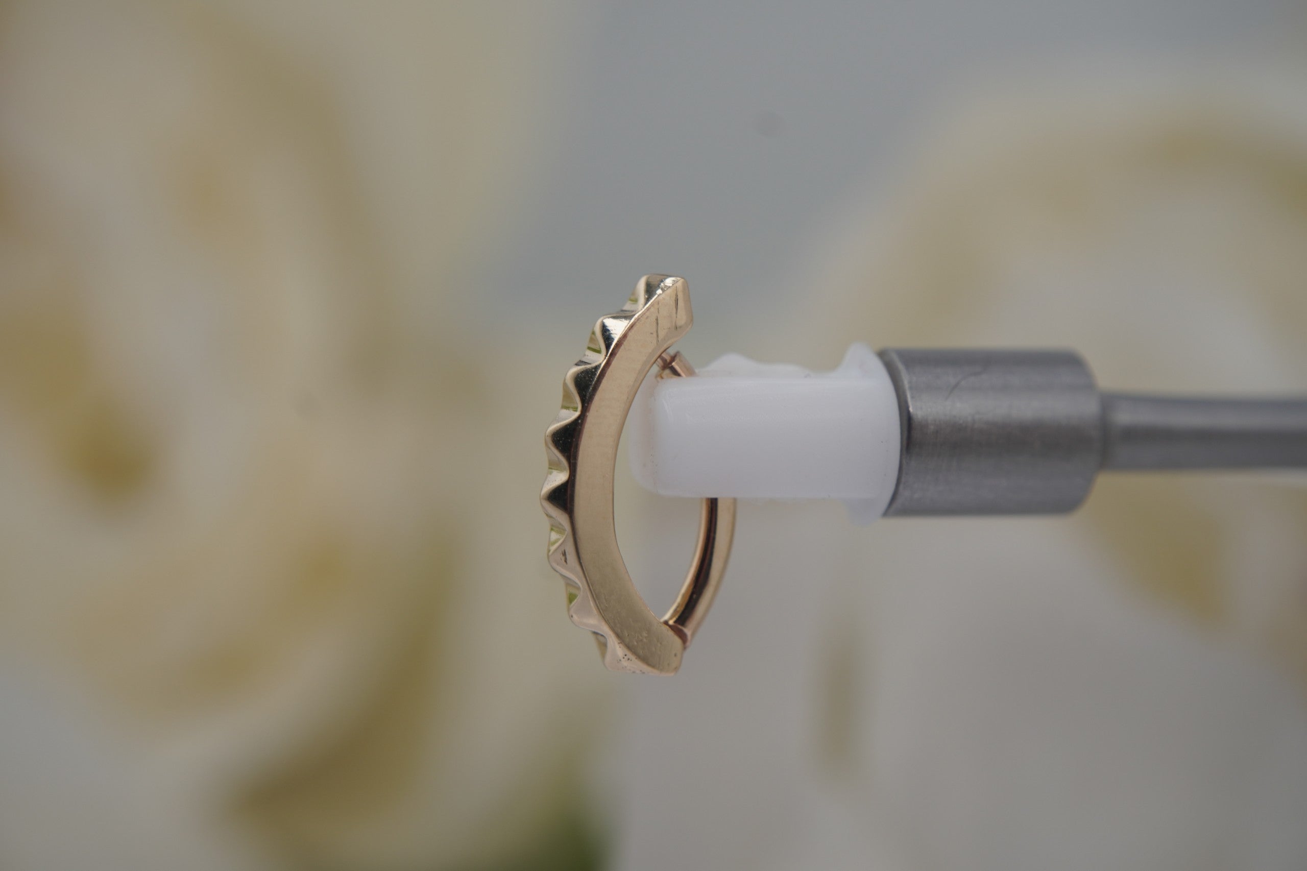 Lady Poly Rook Clicker