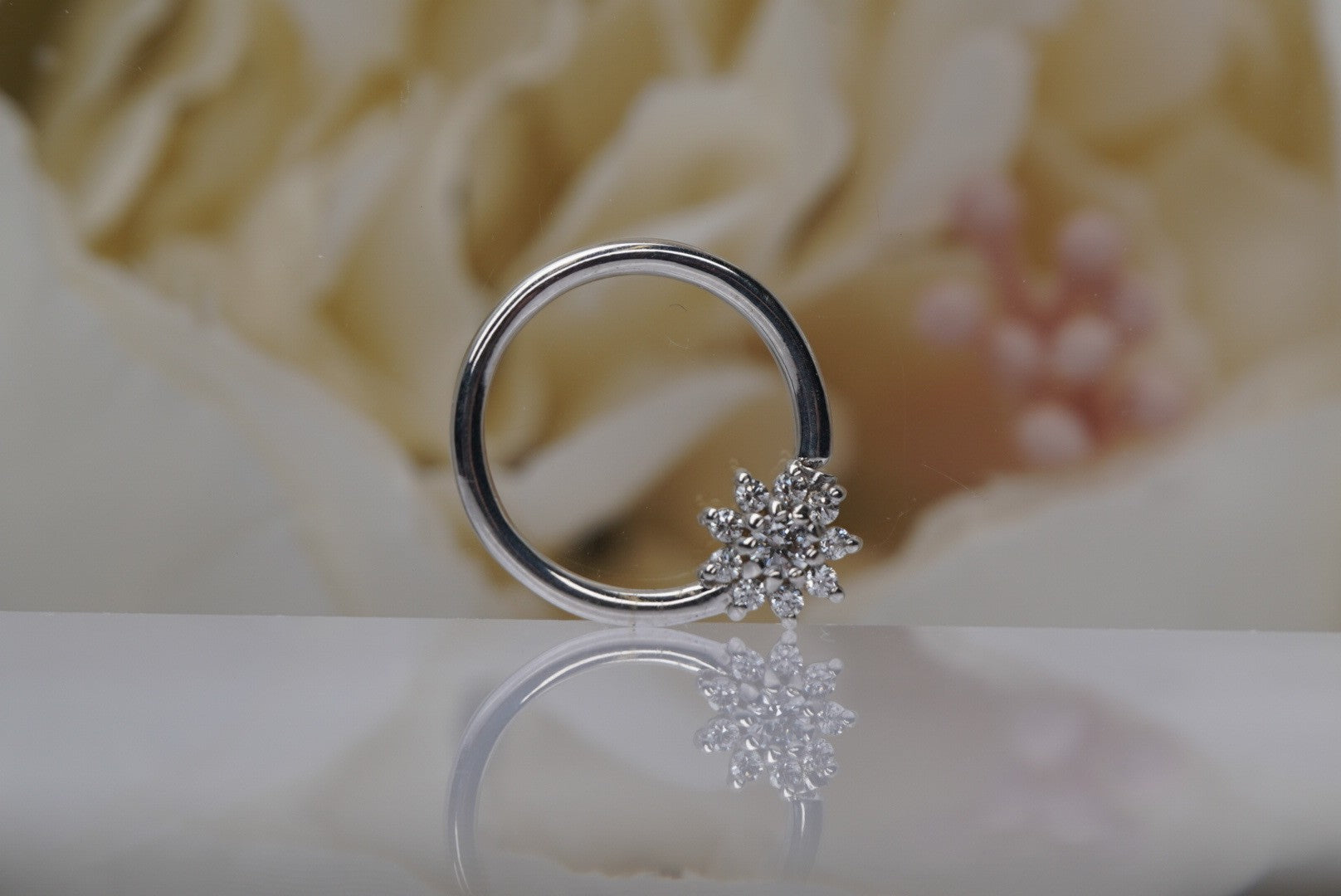 Eloise Seamless Ring- 16g 3/8"