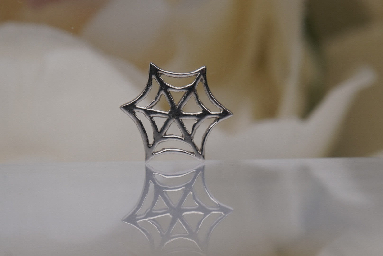 Spider Web