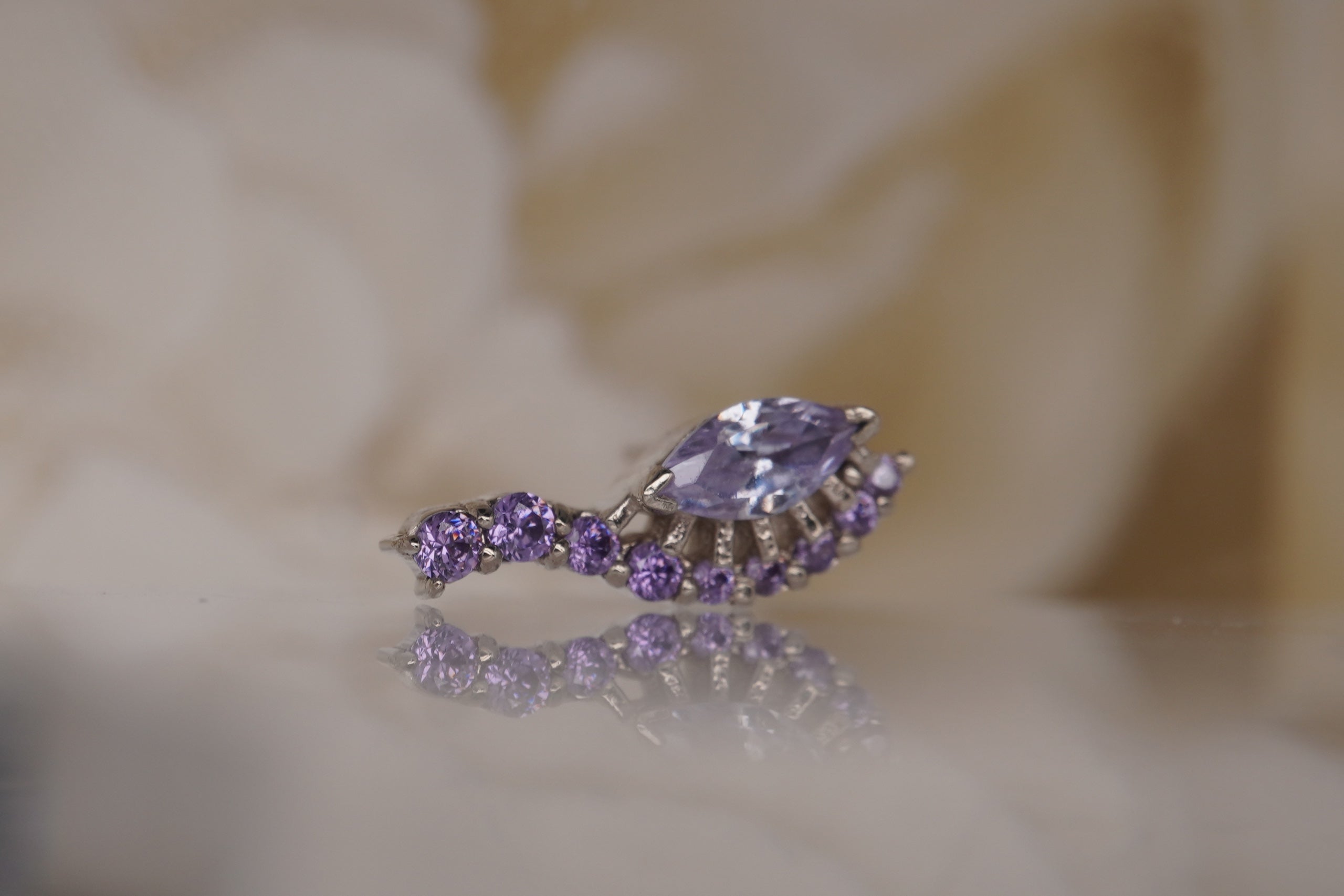 Ninsi with Lavender