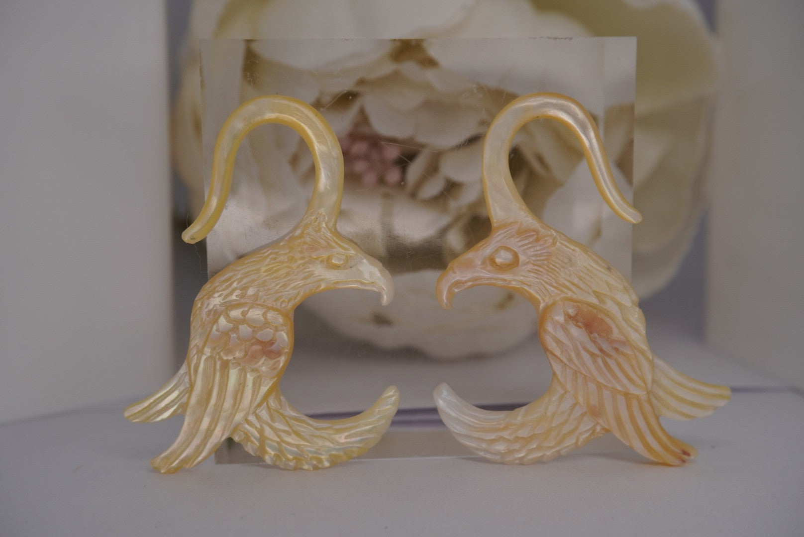Shell Eagles - 10g