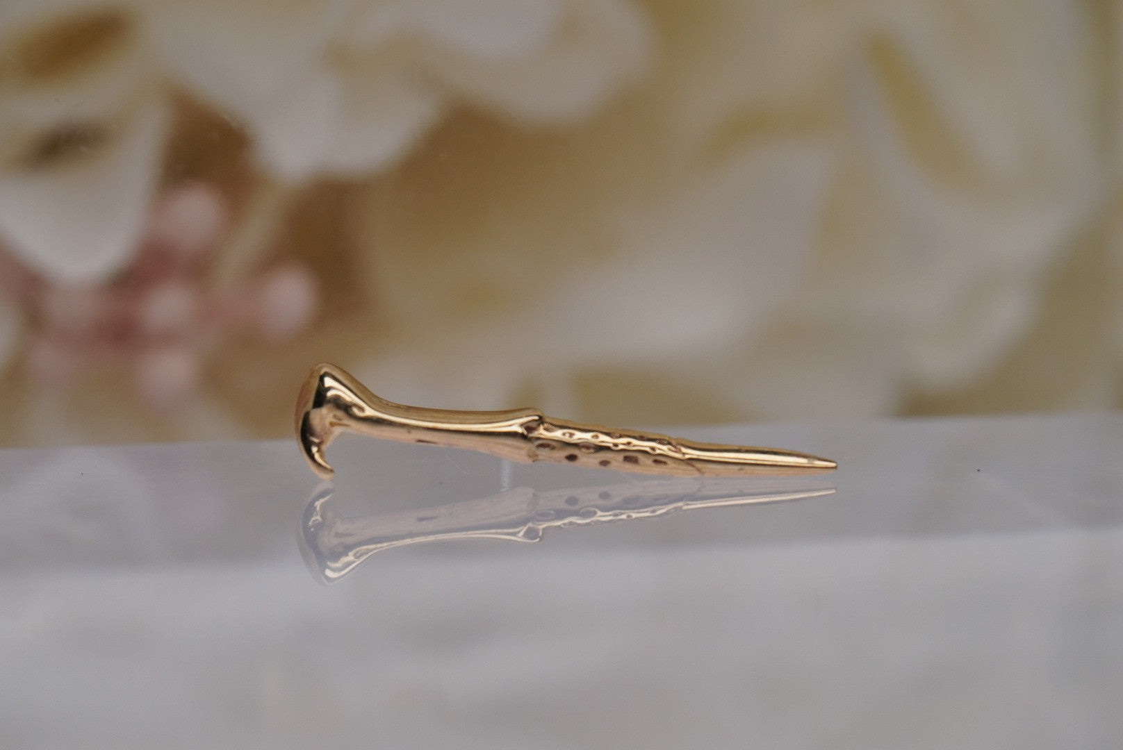 Voldemort's Wand