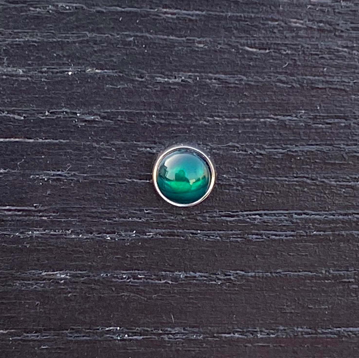 Green Paua Shell- Threadless