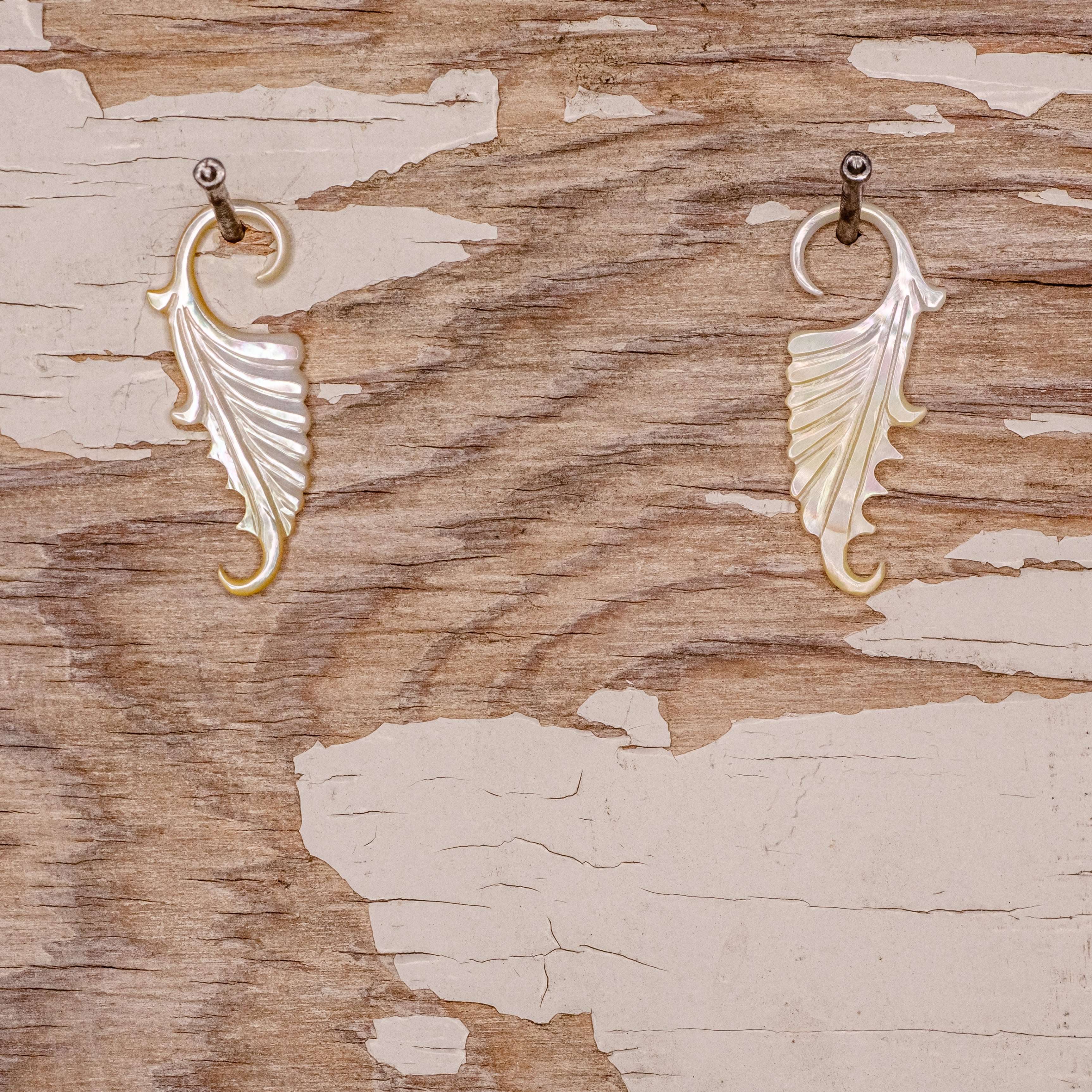 Shell Dangle- 12g