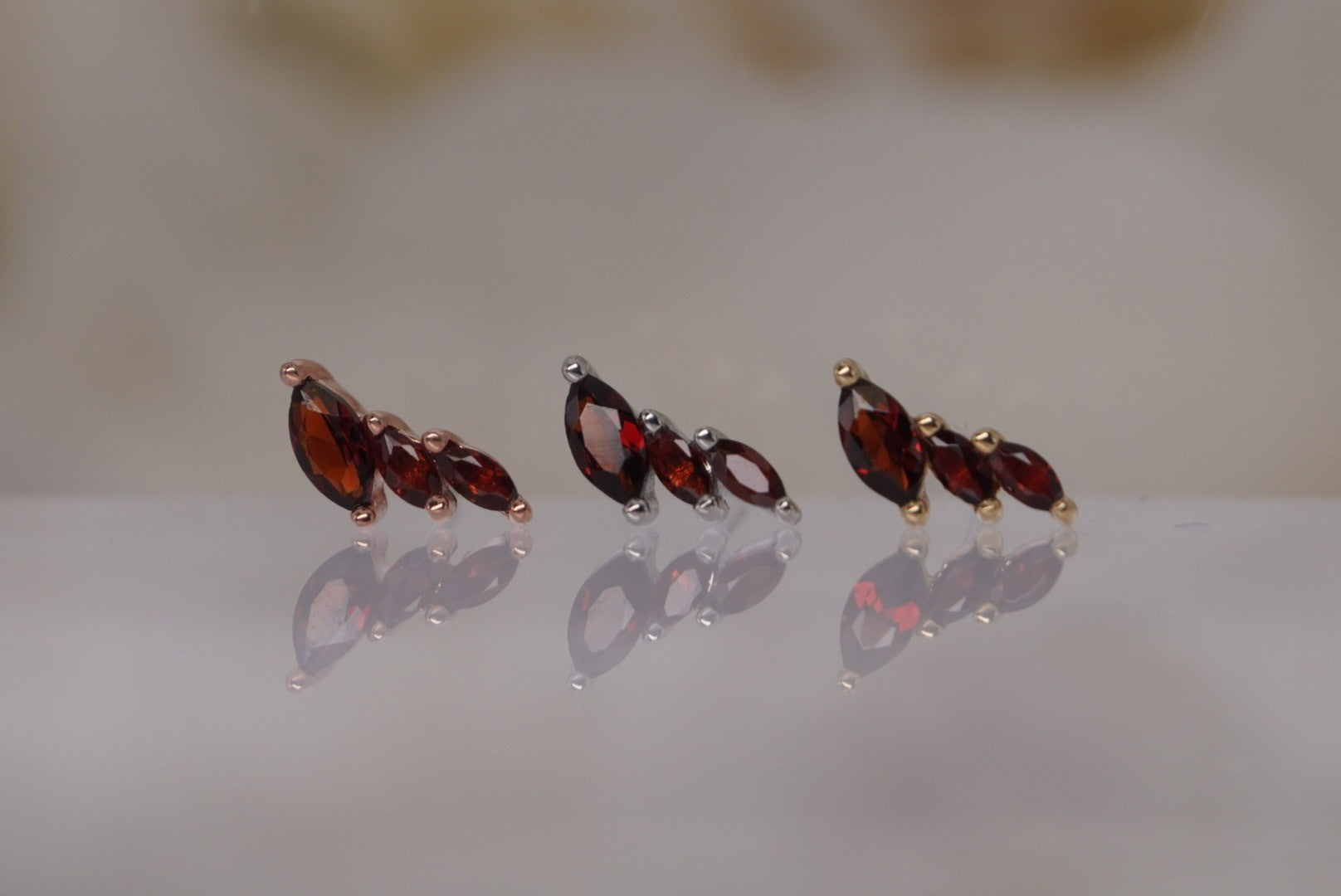 Multiplicity-LEFT with Garnet