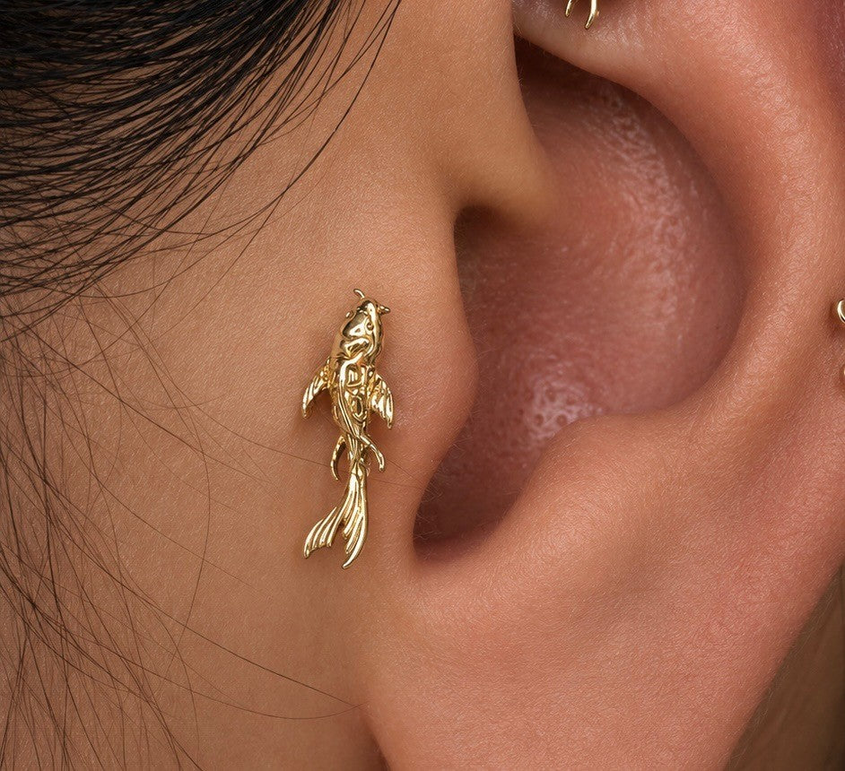junipurr koi yellow gold koi fish tragus piercing