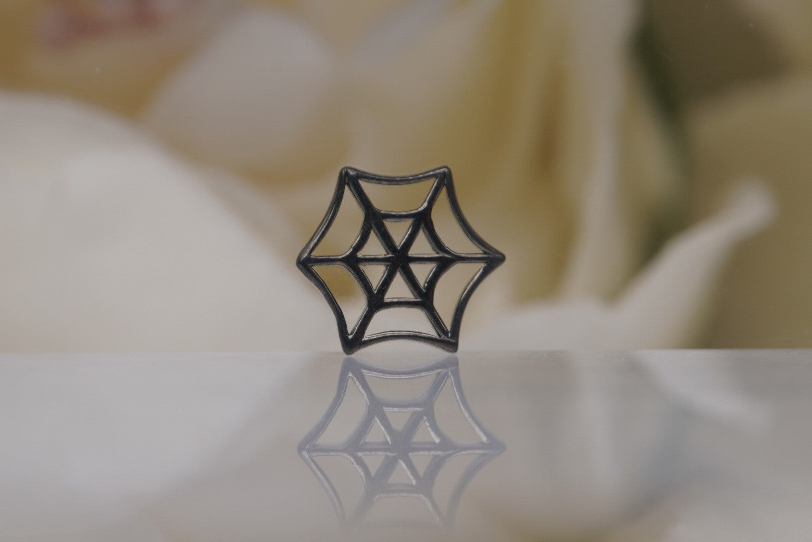 Spider Web